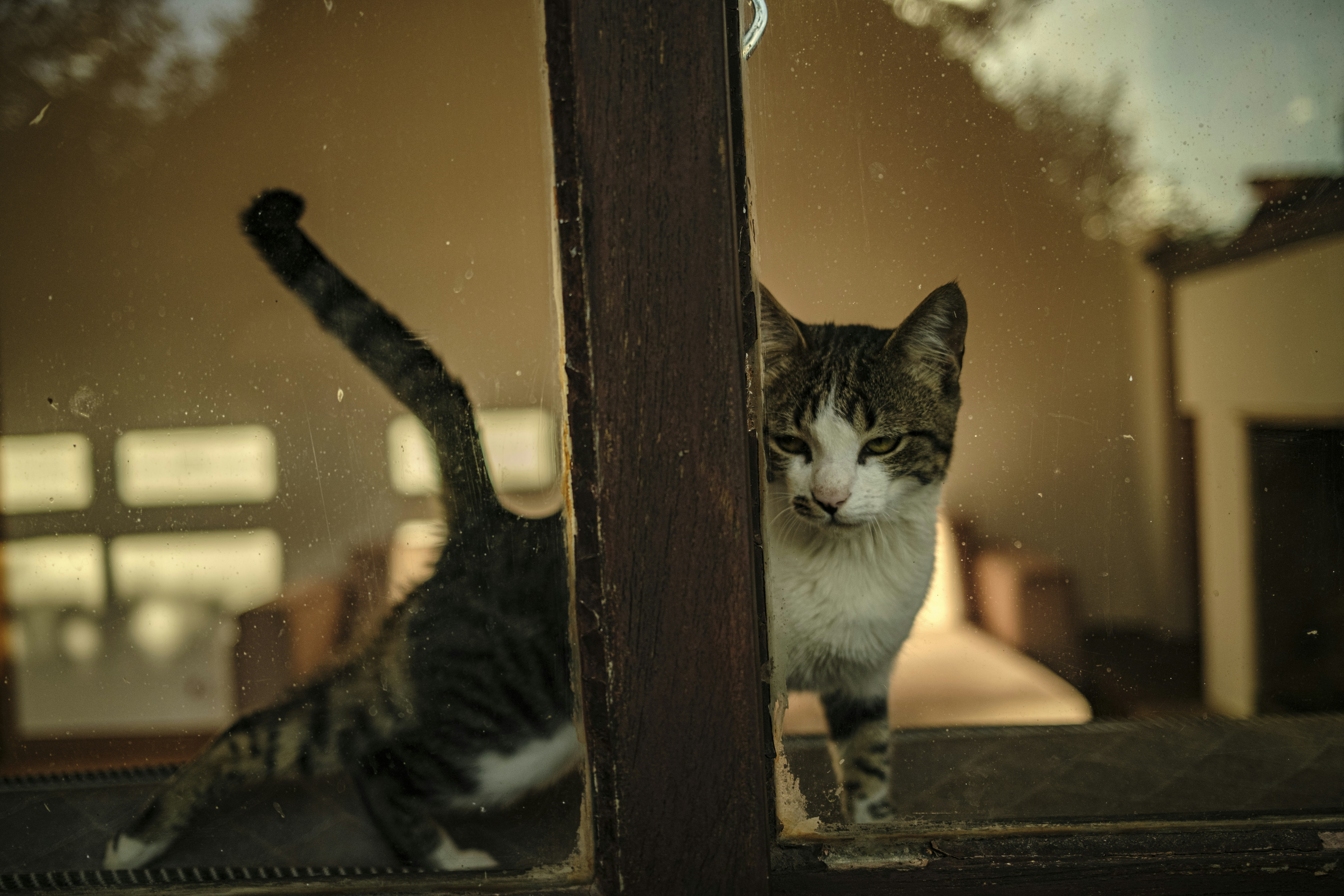 Photo by darwinboaventura