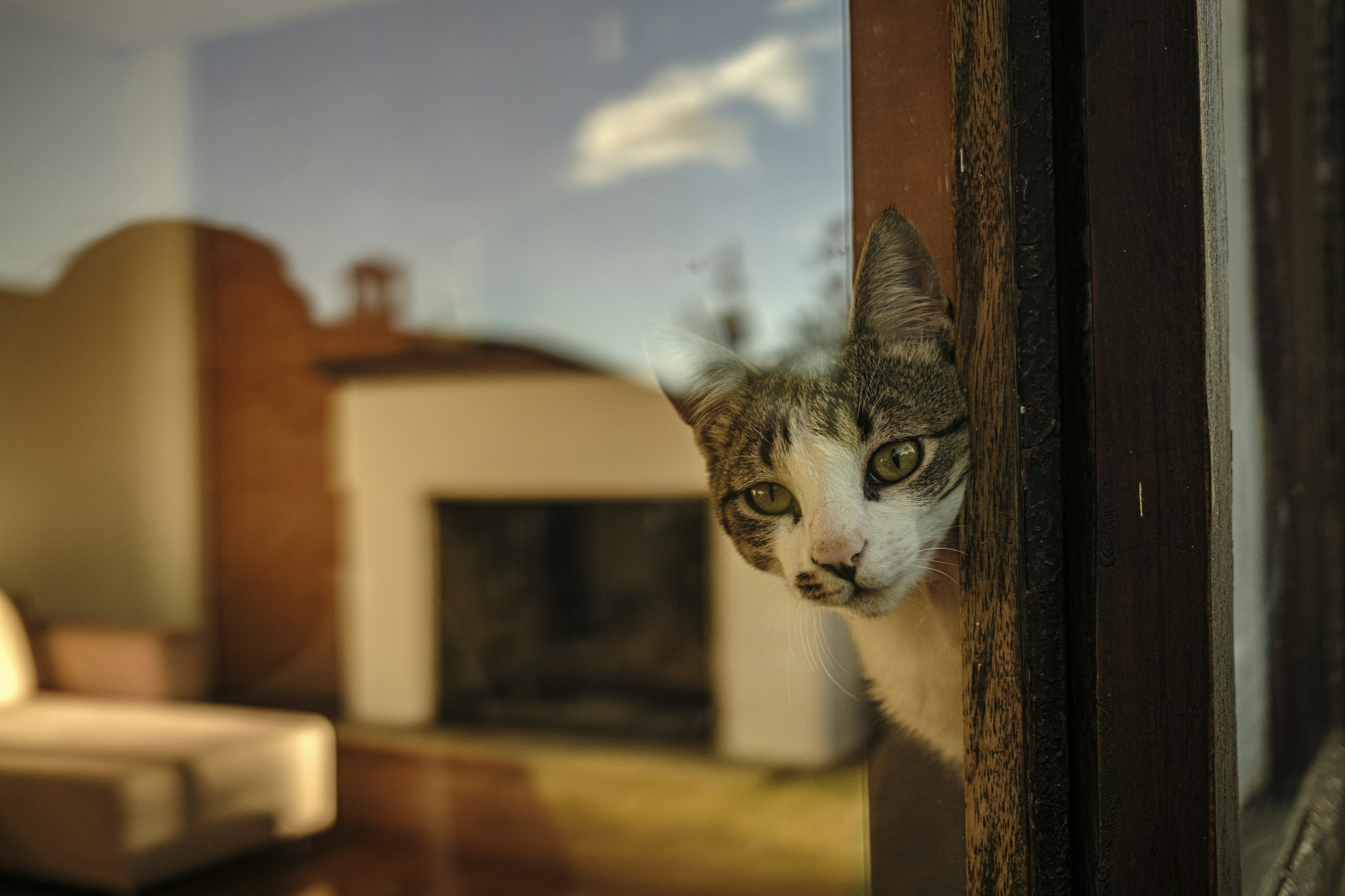 Photo by darwinboaventura