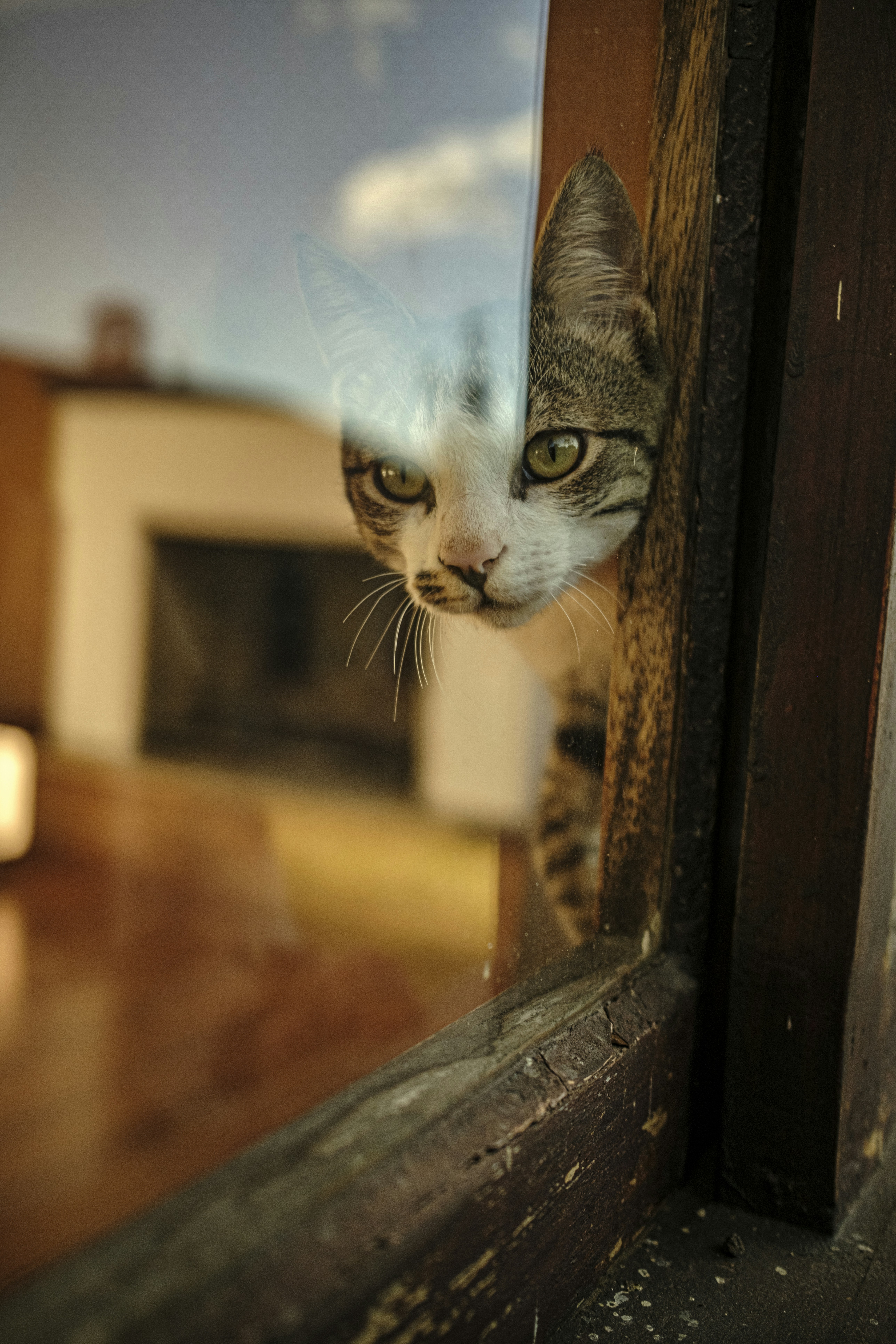 Photo by darwinboaventura