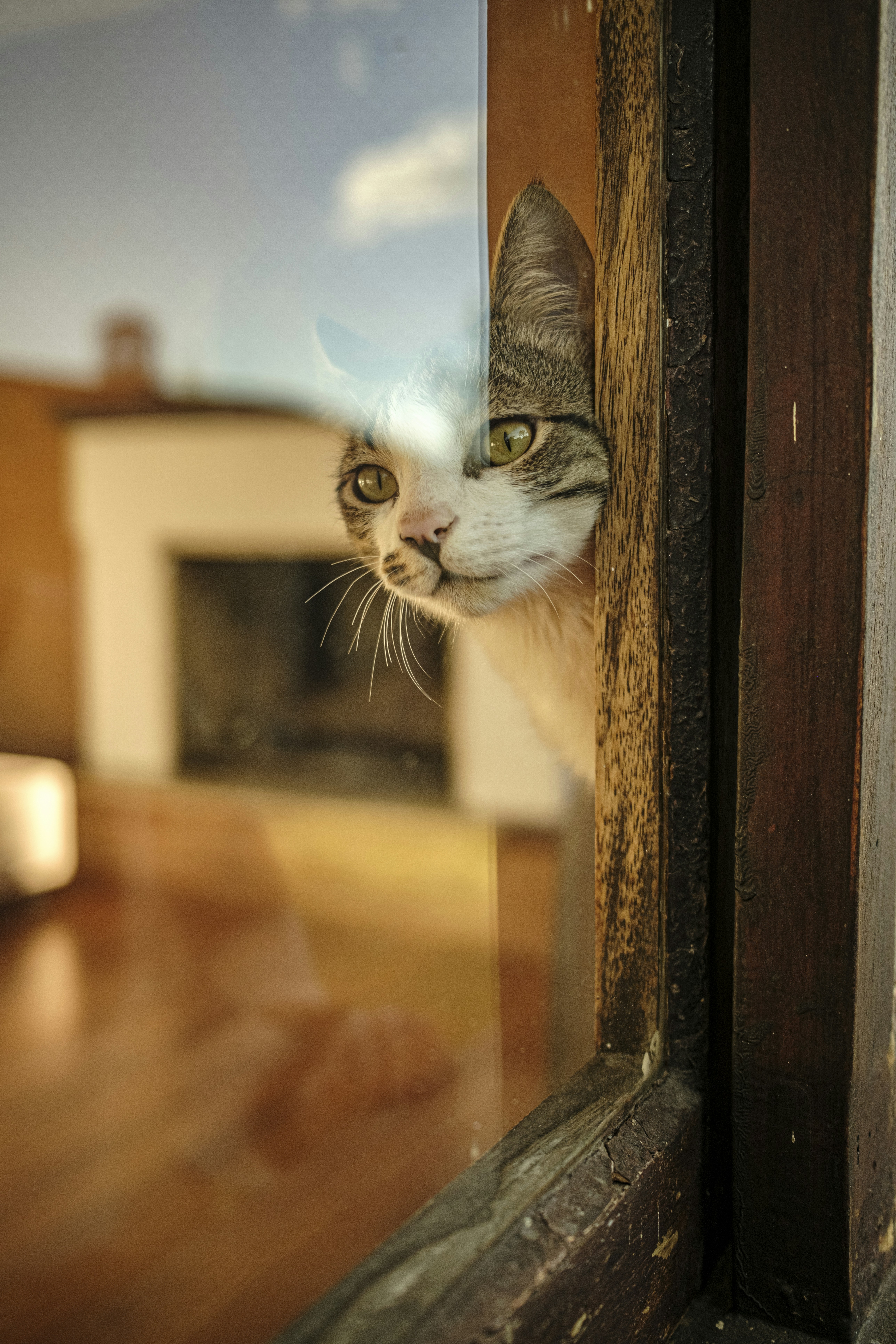 Photo by darwinboaventura