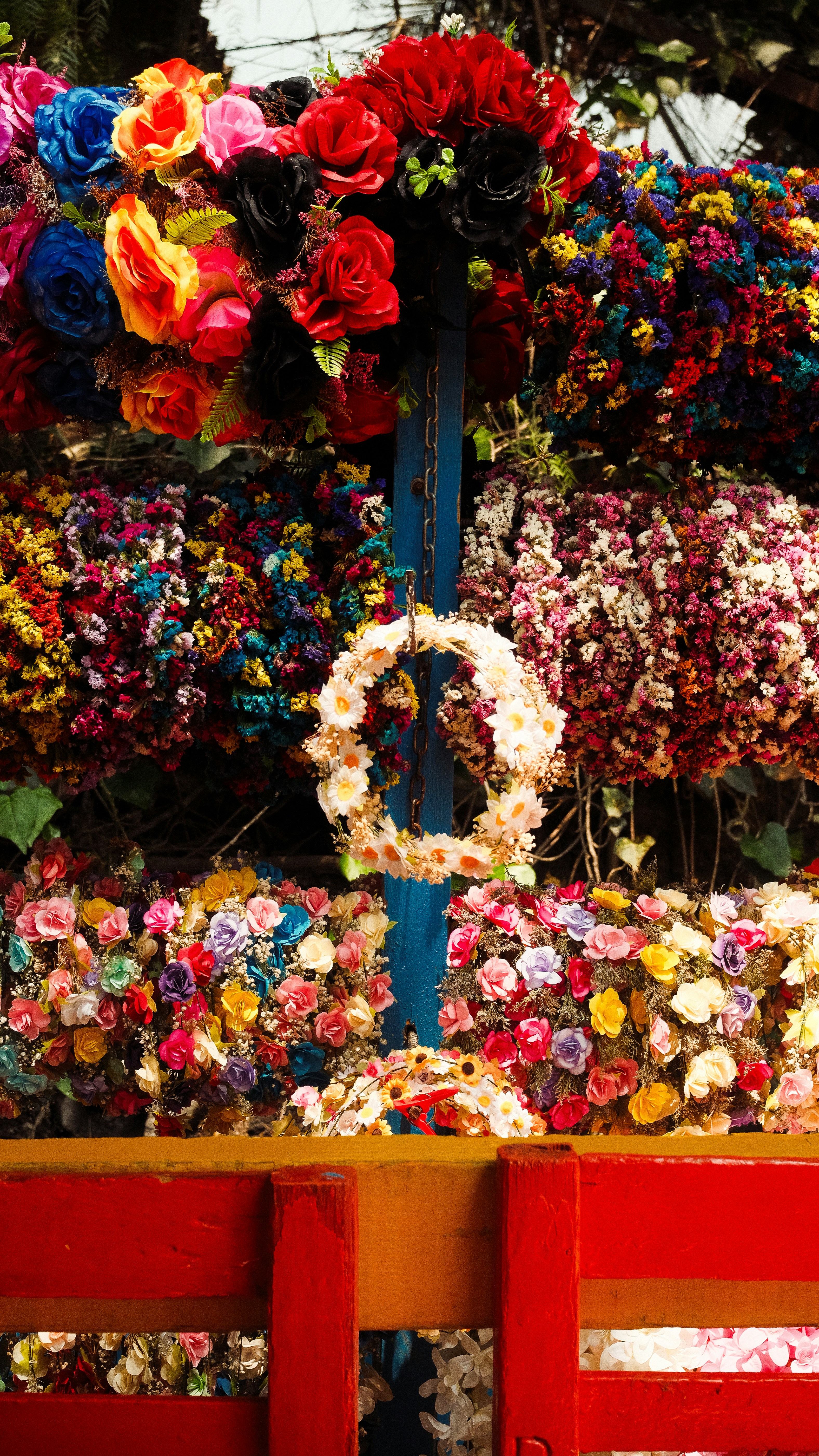 A bunch of flowers that are on a wall
