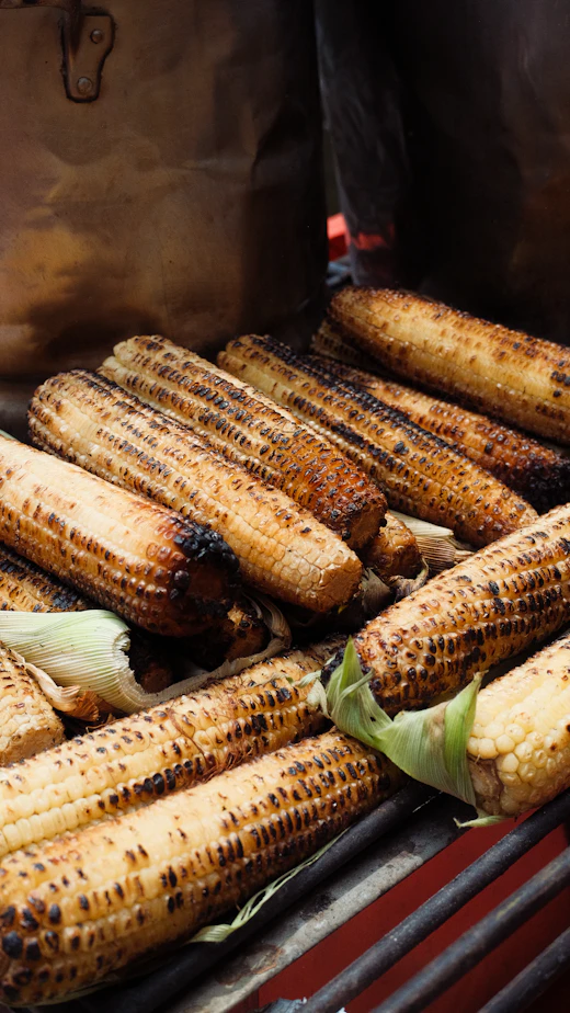 Crispy elote street corn topped with cotija