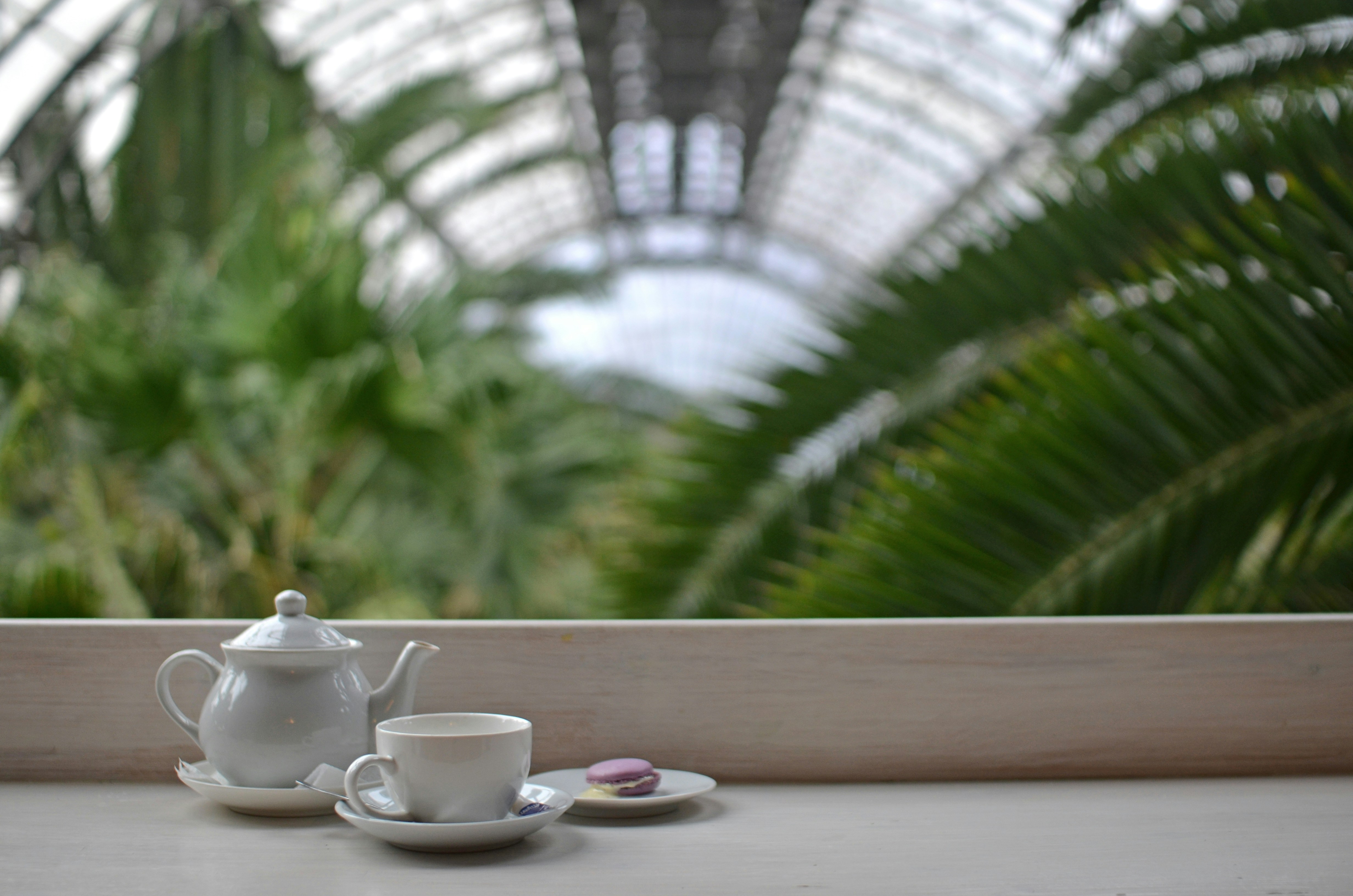 Inside Paris's Palace Hotels for the Ultimate Afternoon Tea