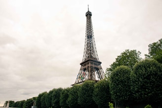 The eiffel tower towering over the city of paris