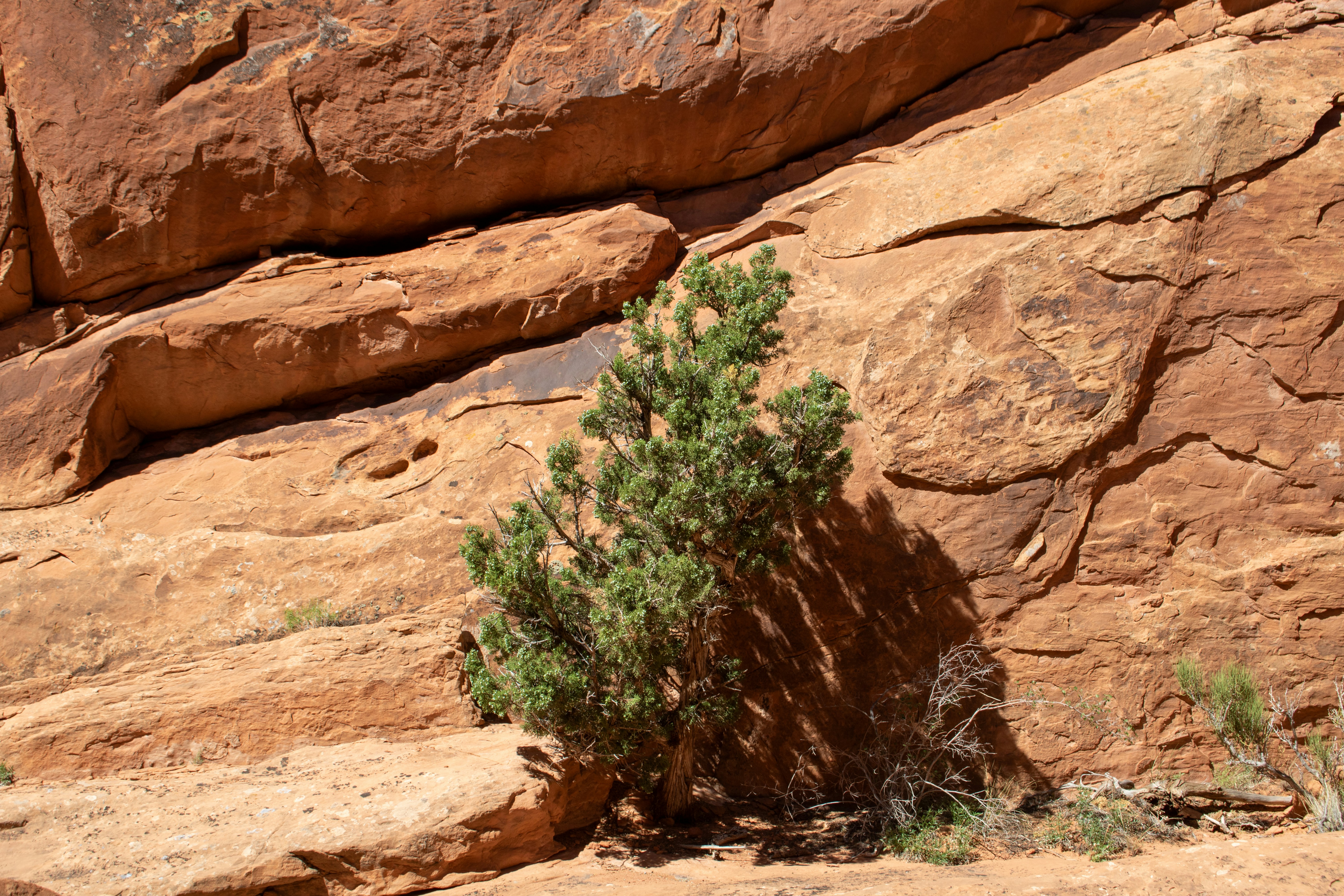 Photo by zoshuacolah