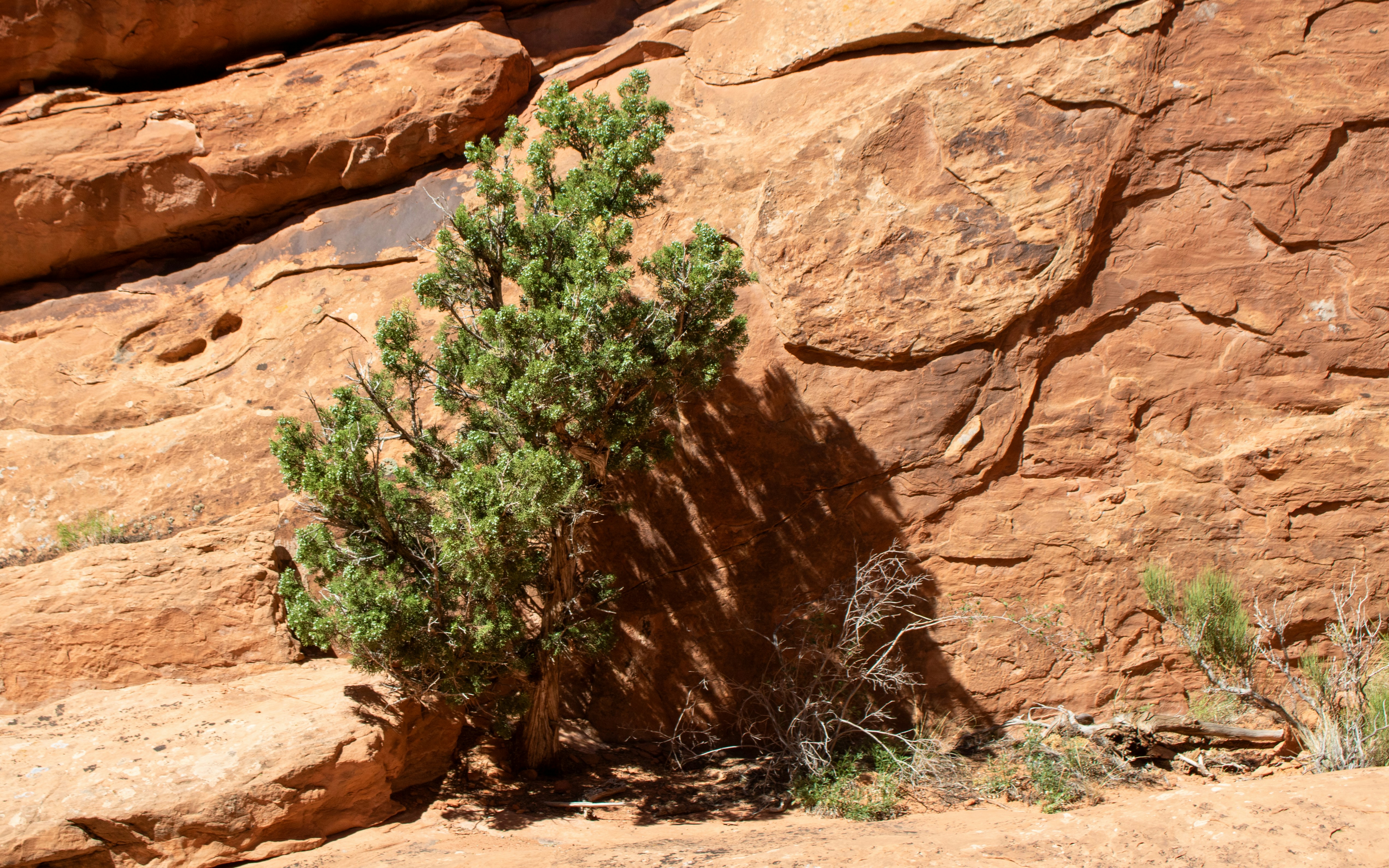 Photo by zoshuacolah