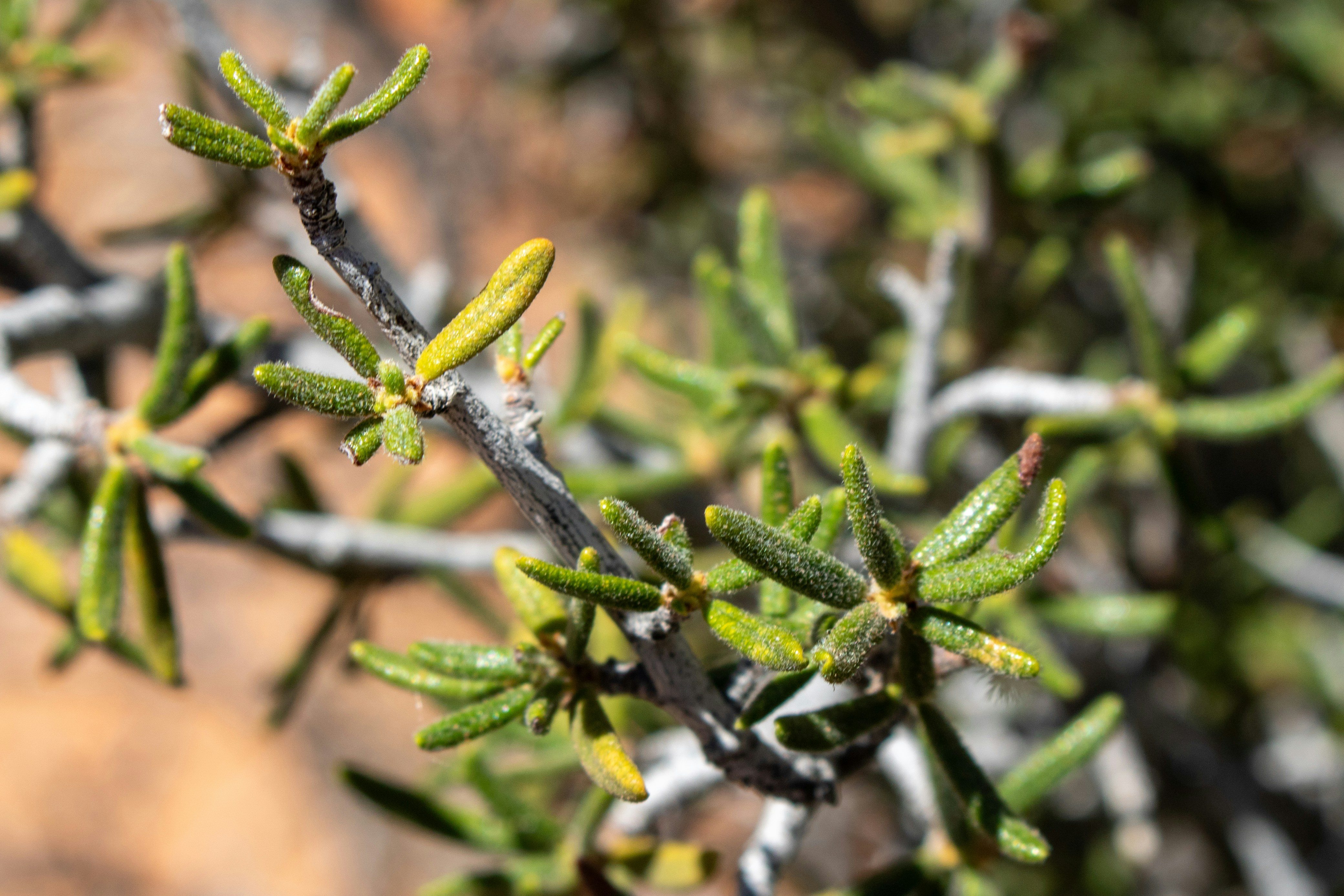 Photo by zoshuacolah