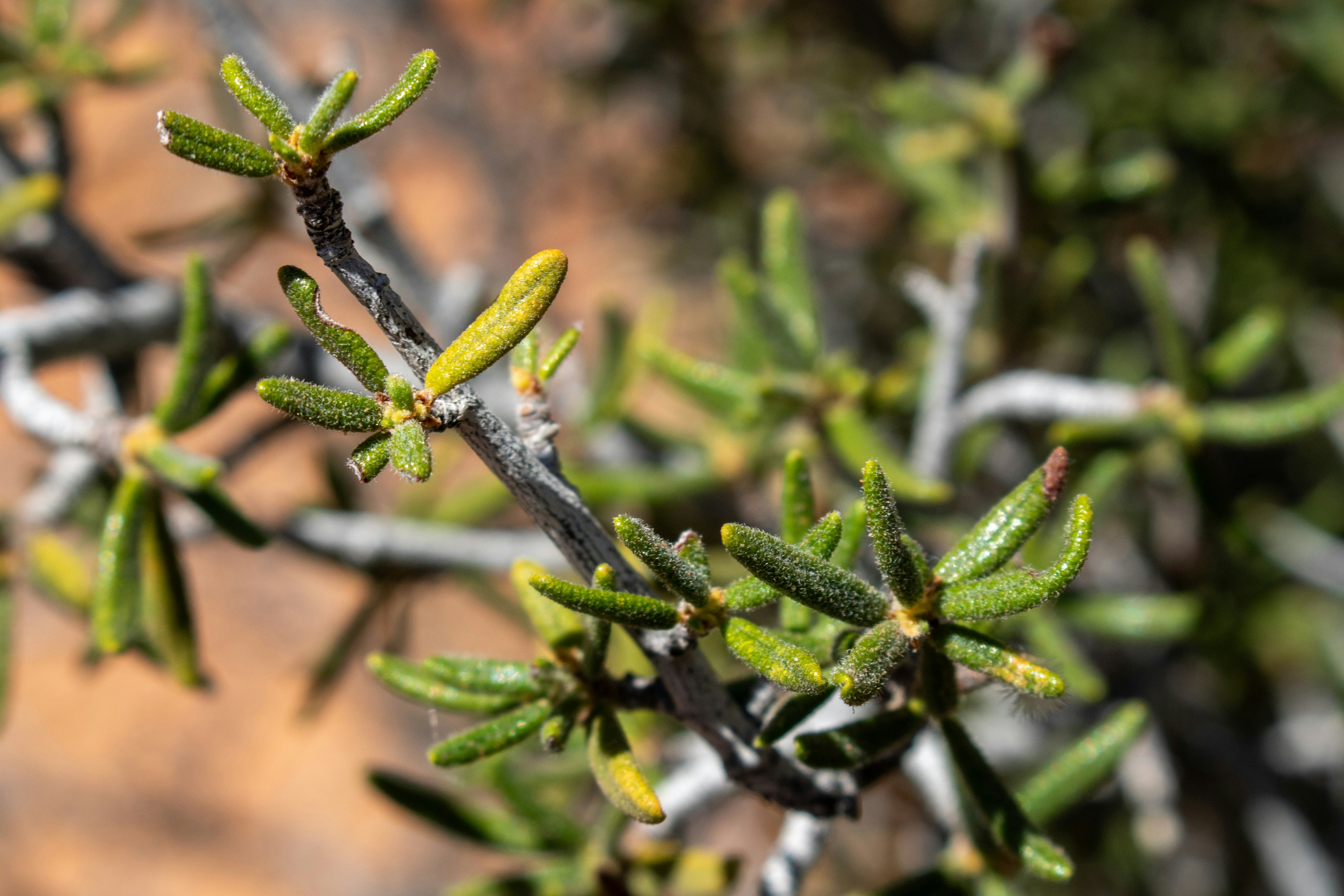 Photo by zoshuacolah