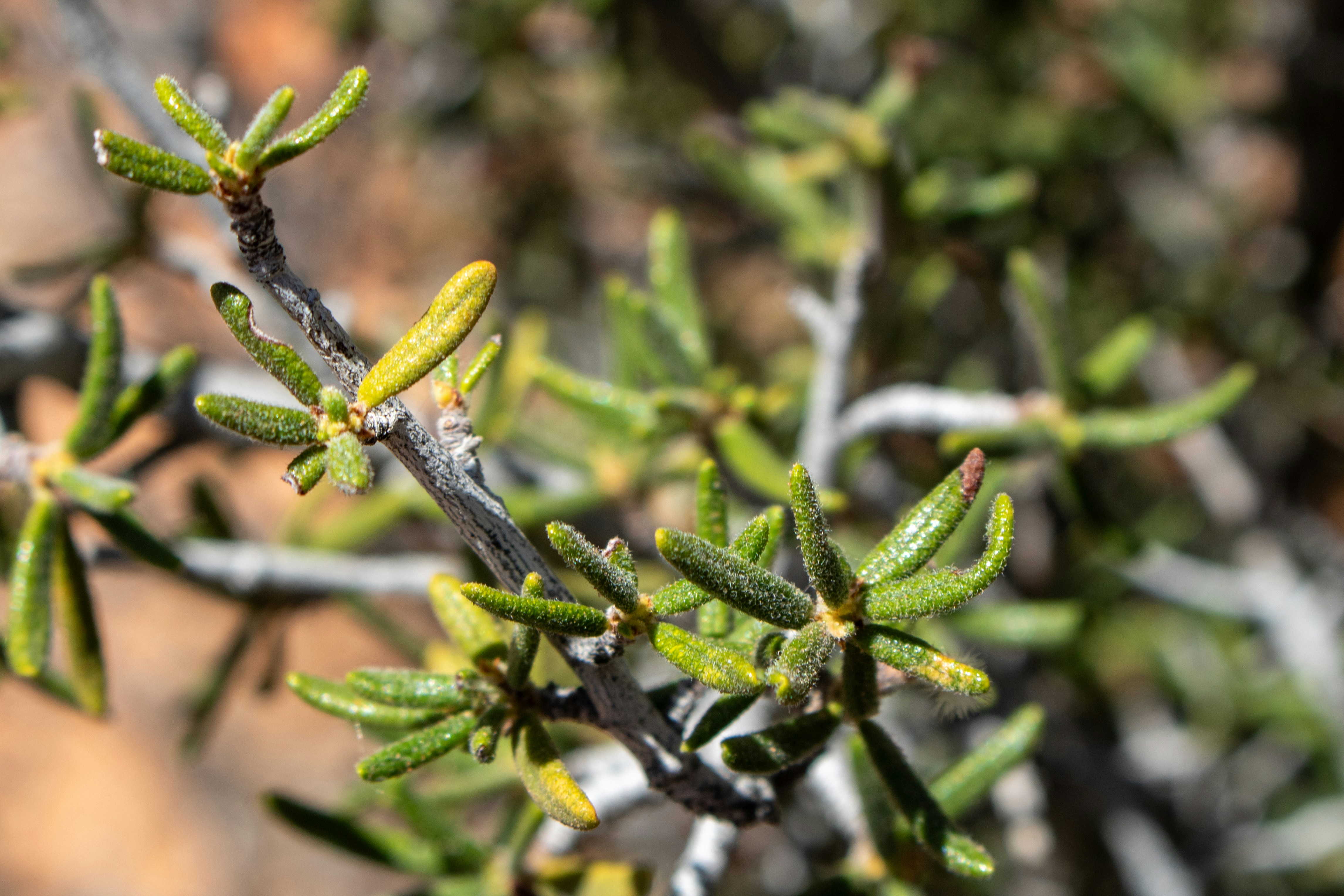 Photo by zoshuacolah