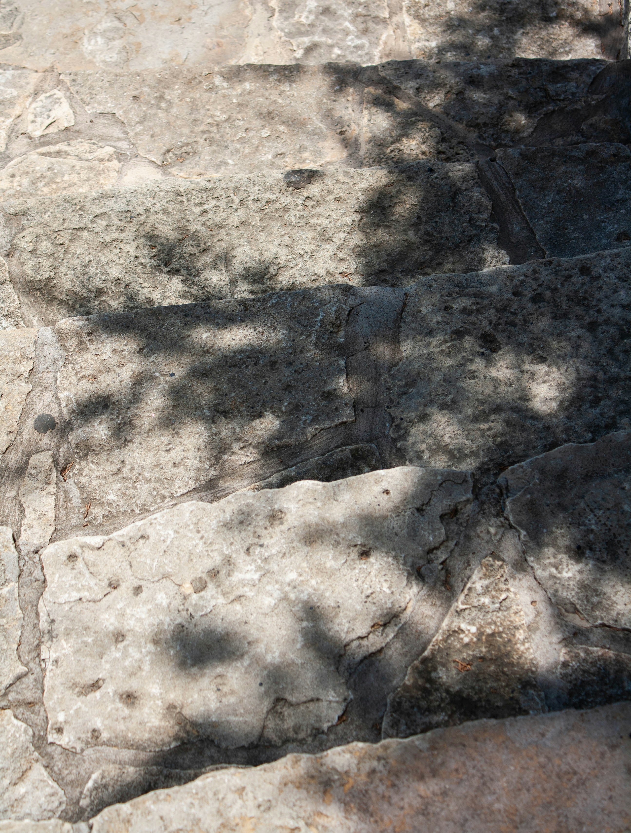 A cat is sitting on a rock ledge