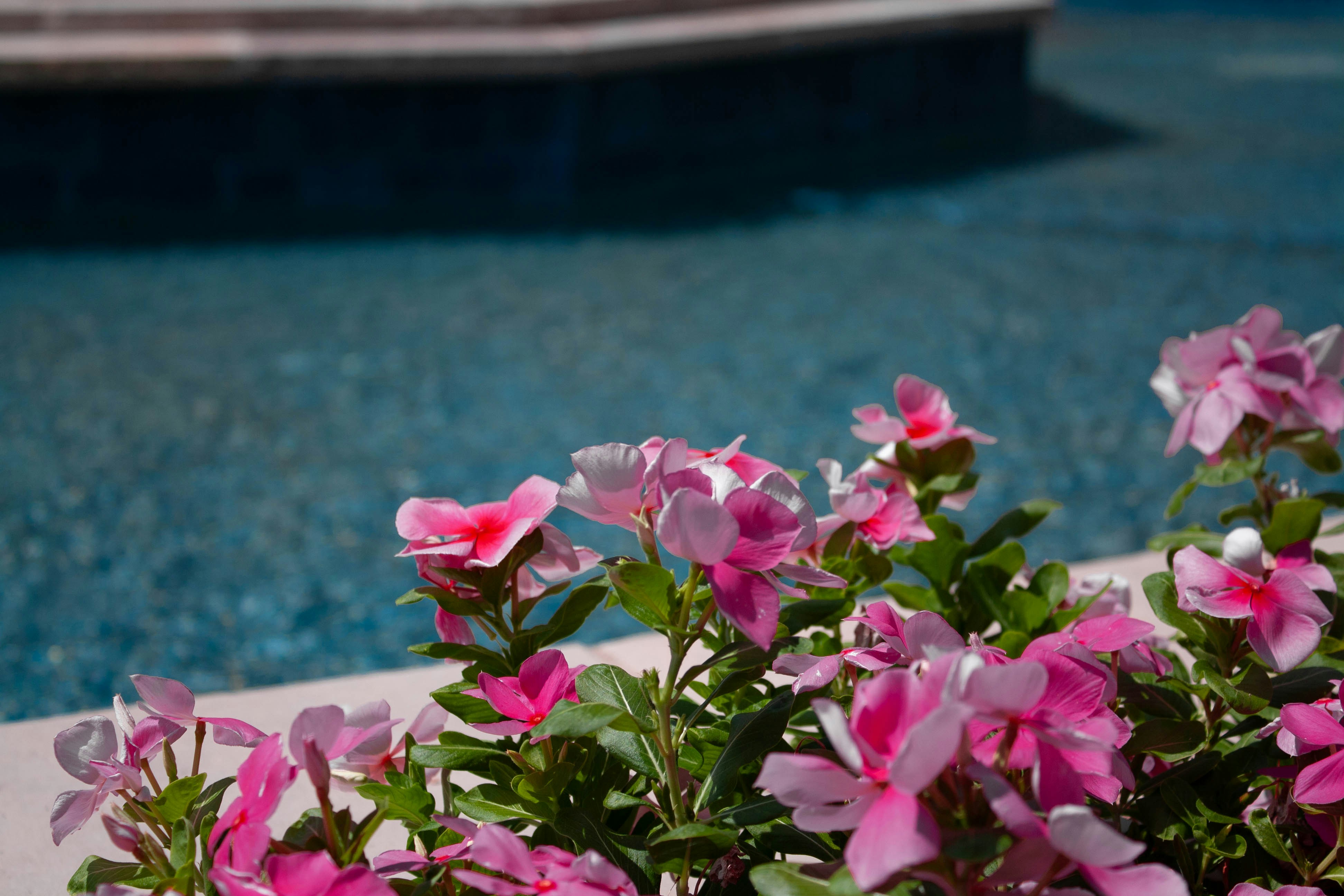 Photo by thelaibaali