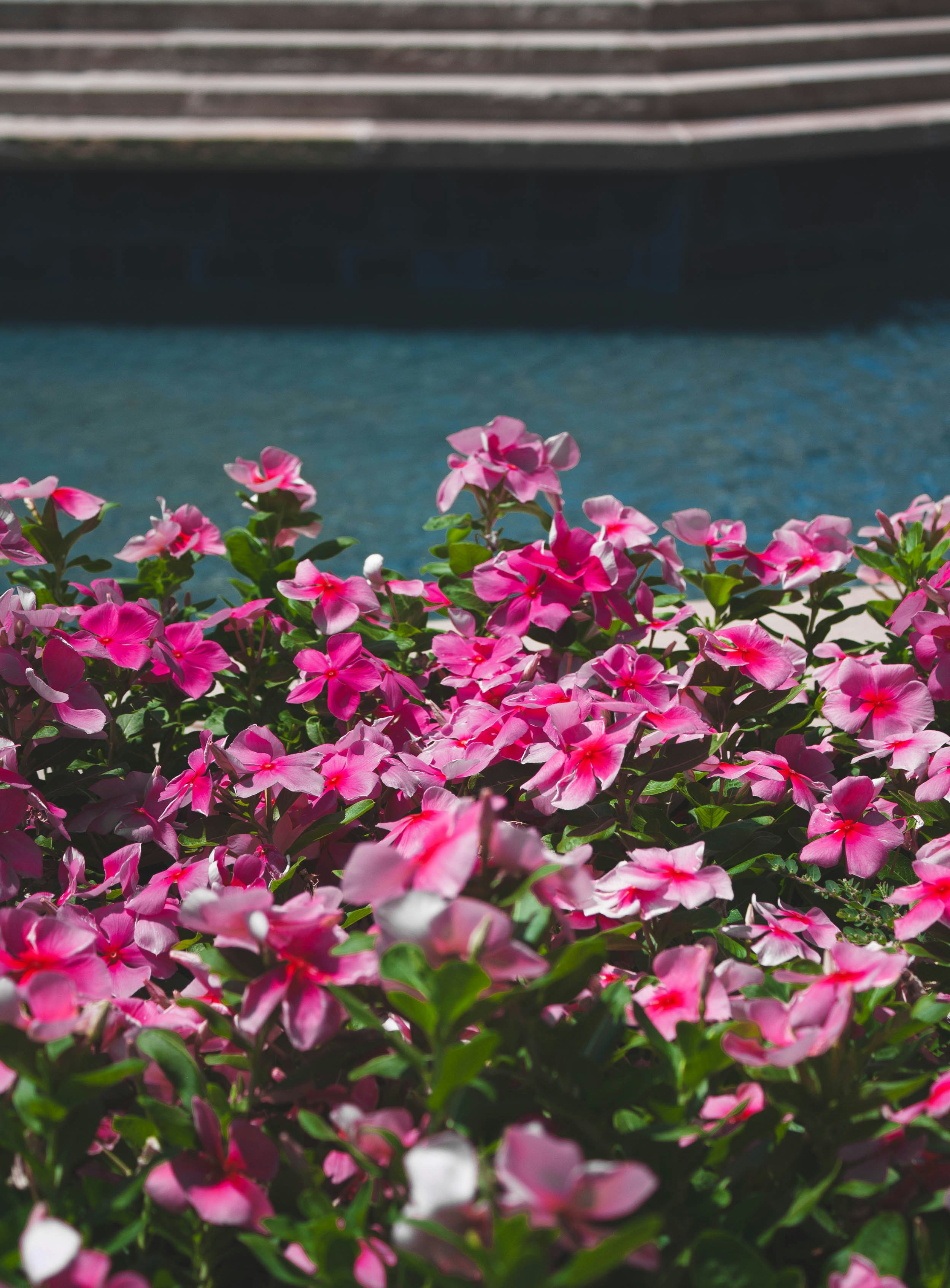 Photo by thelaibaali