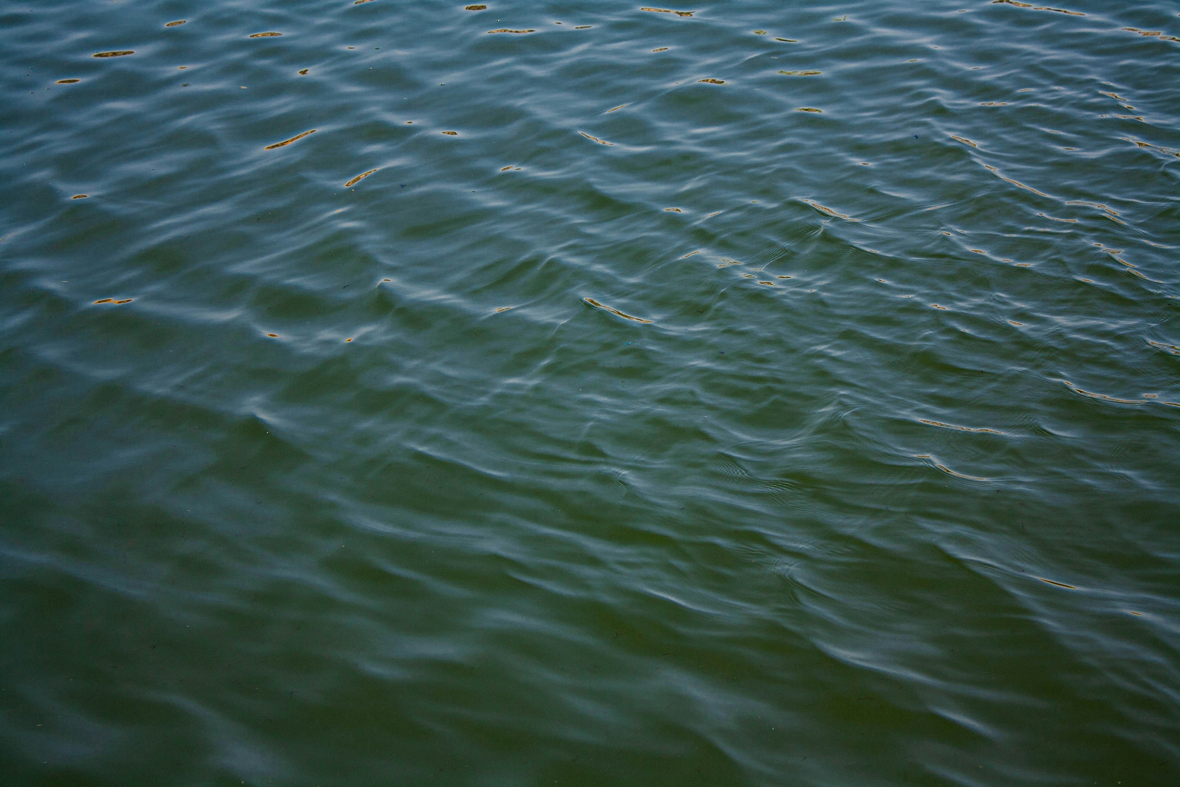 Photo by thelaibaali