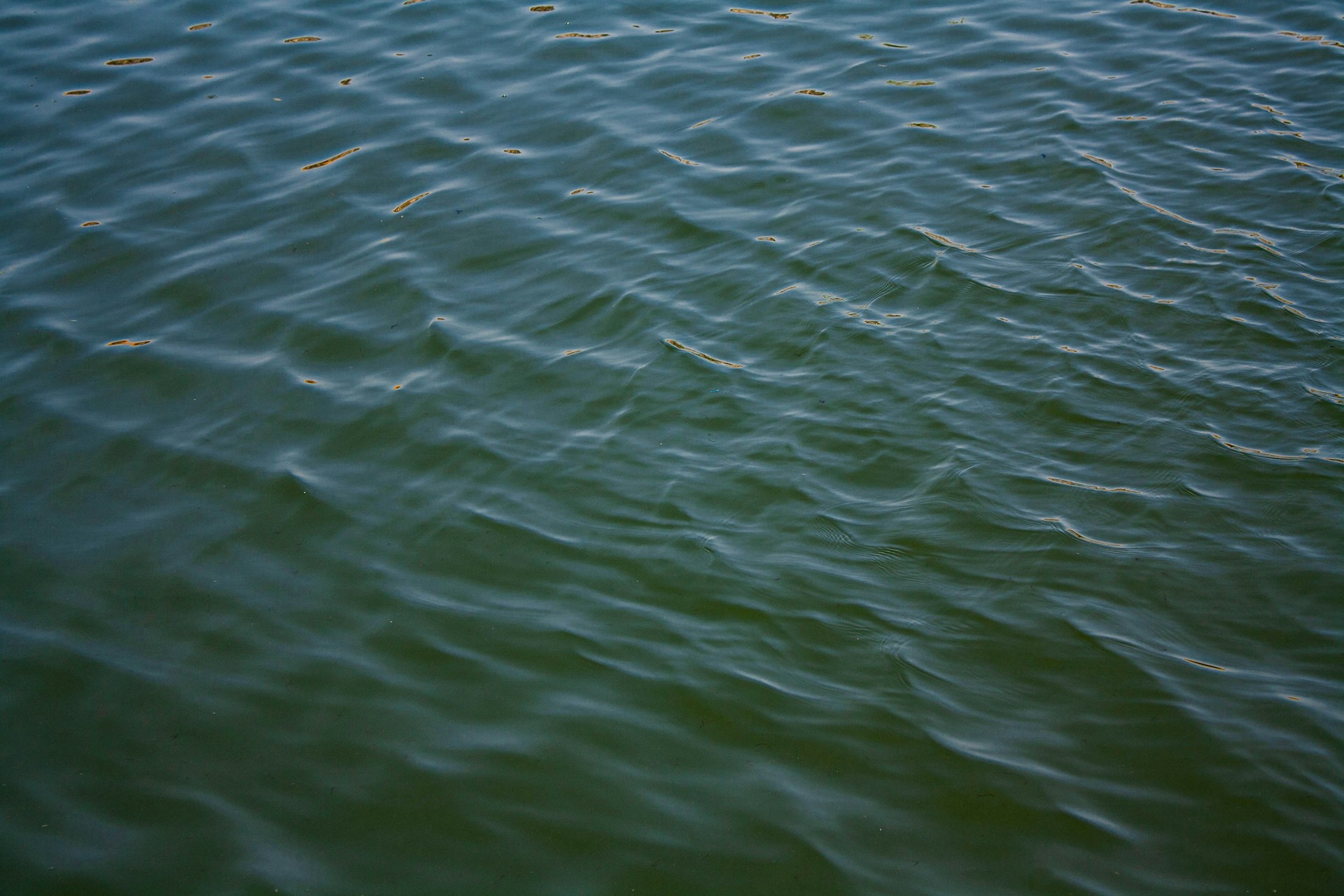 A large body of water with a boat in the distance