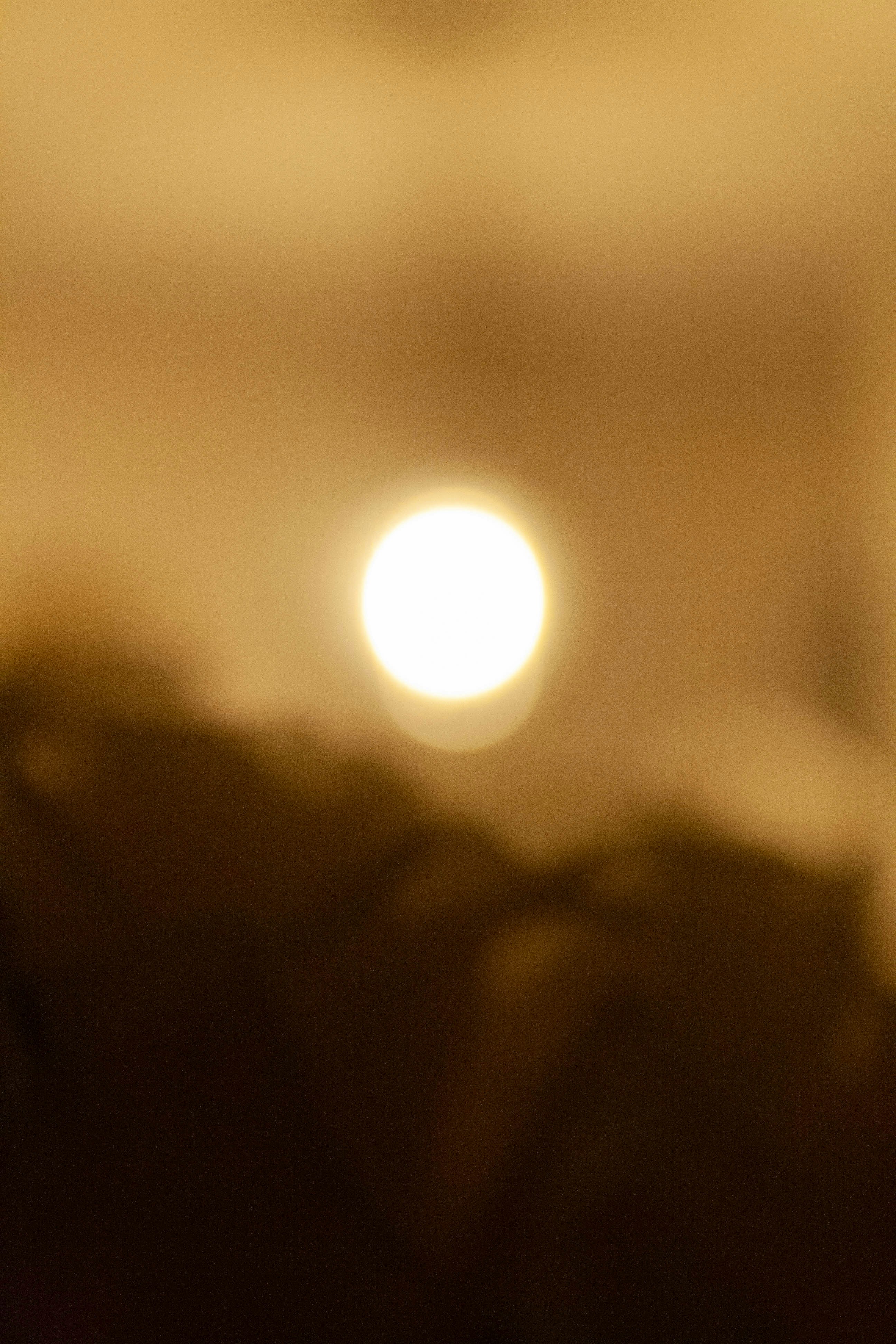 Photo by thelaibaali