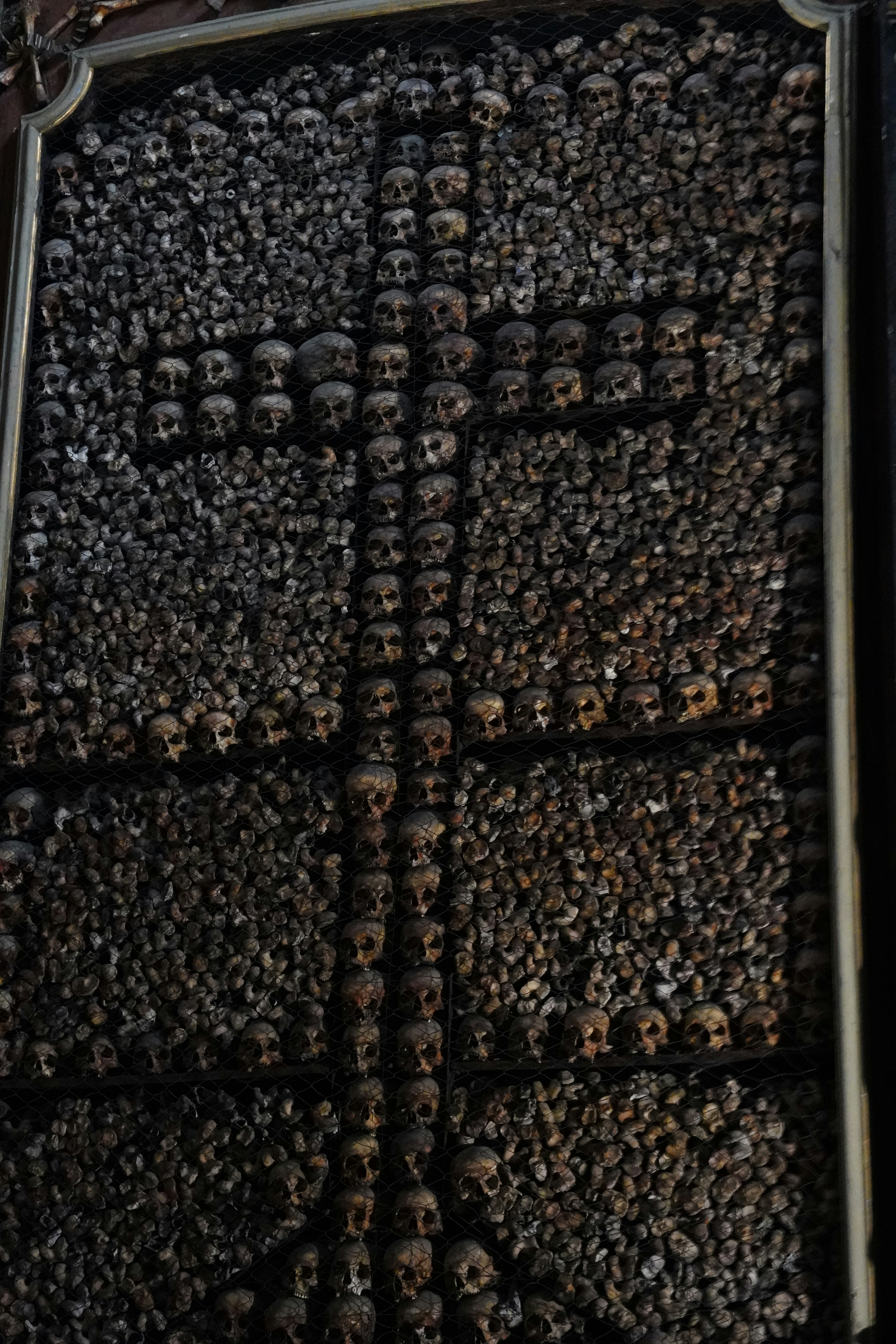 photo-1722898412967-cfb2d5a4681d?ixid=M3wxMjA3fDB8MXxzZWFyY2h8Mnx8JUQwJTlBJUQwJUIwJUQxJTgwJUQwJUJGJUQwJUIwJUQxJTg3JUQwJUJFJTIwJUQwJUJFJUQxJTgyJTIwJUQxJTg3JUQwJUI1JUQxJTgwJUQwJUJEJUQwJUI4JTIwJUQwJUJCJUQwJUI1JUQxJTgyJUQwJUJEJUQwJUI4JTIwJUQxJTgyJUQxJTgwJUQxJThFJUQxJTg0JUQwJUI1JUQwJUJCJUQwJUI4JTIwNTAwJUQwJUIzJUQxJTgwLiUyMDYtJUQwJUIxJUQxJTgwJUQwJUJFJUQxJThGJTIwJUQwJUIxJUQxJTgzJUQxJTgwJUQwJUJBJUQwJUIwJUQwJUJEJUQwJUI4fGVufDB8fHx8MTc2MjA3MTk3N3ww\u0026ixlib=rb-4.1.0