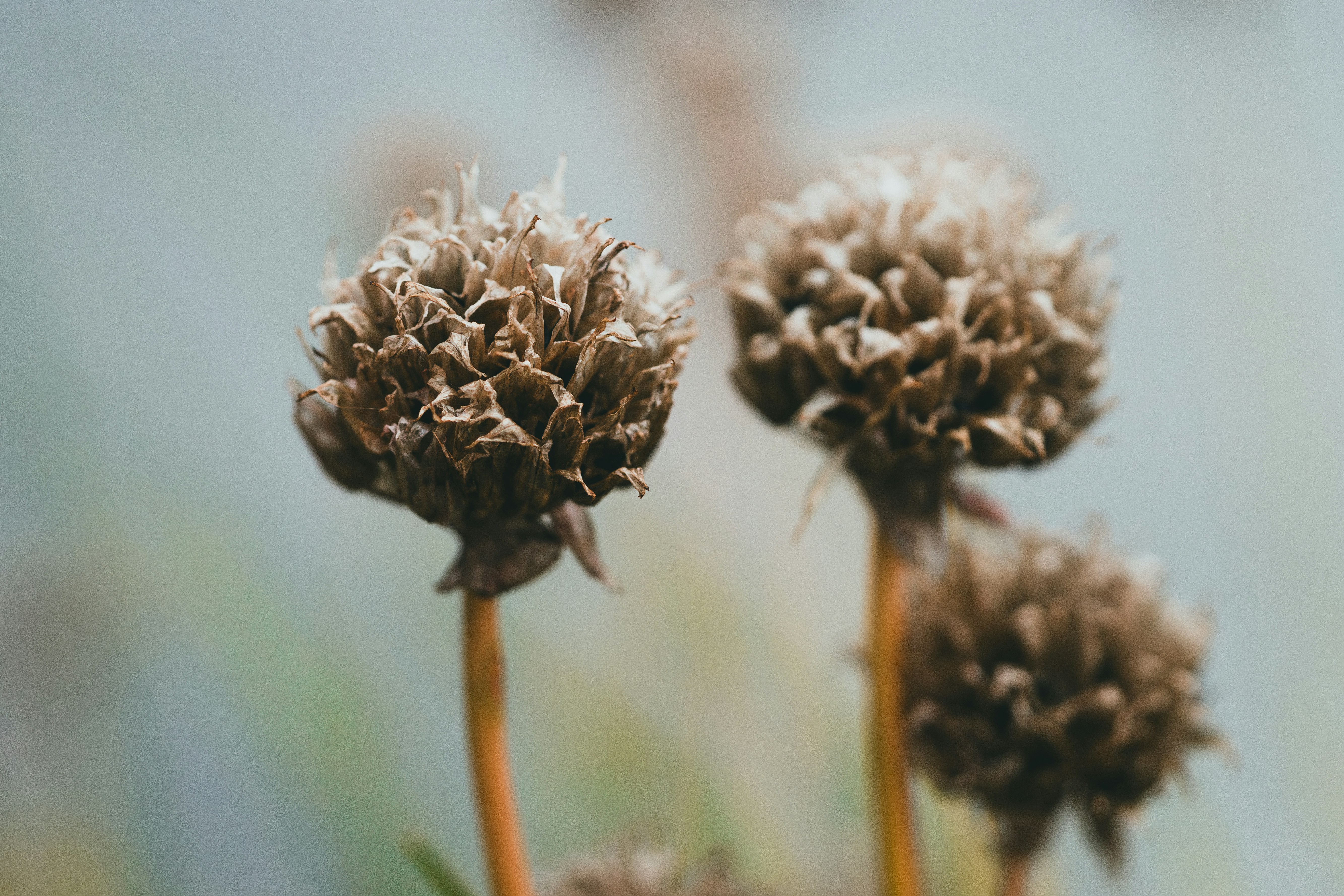 Photo by theshuttervision