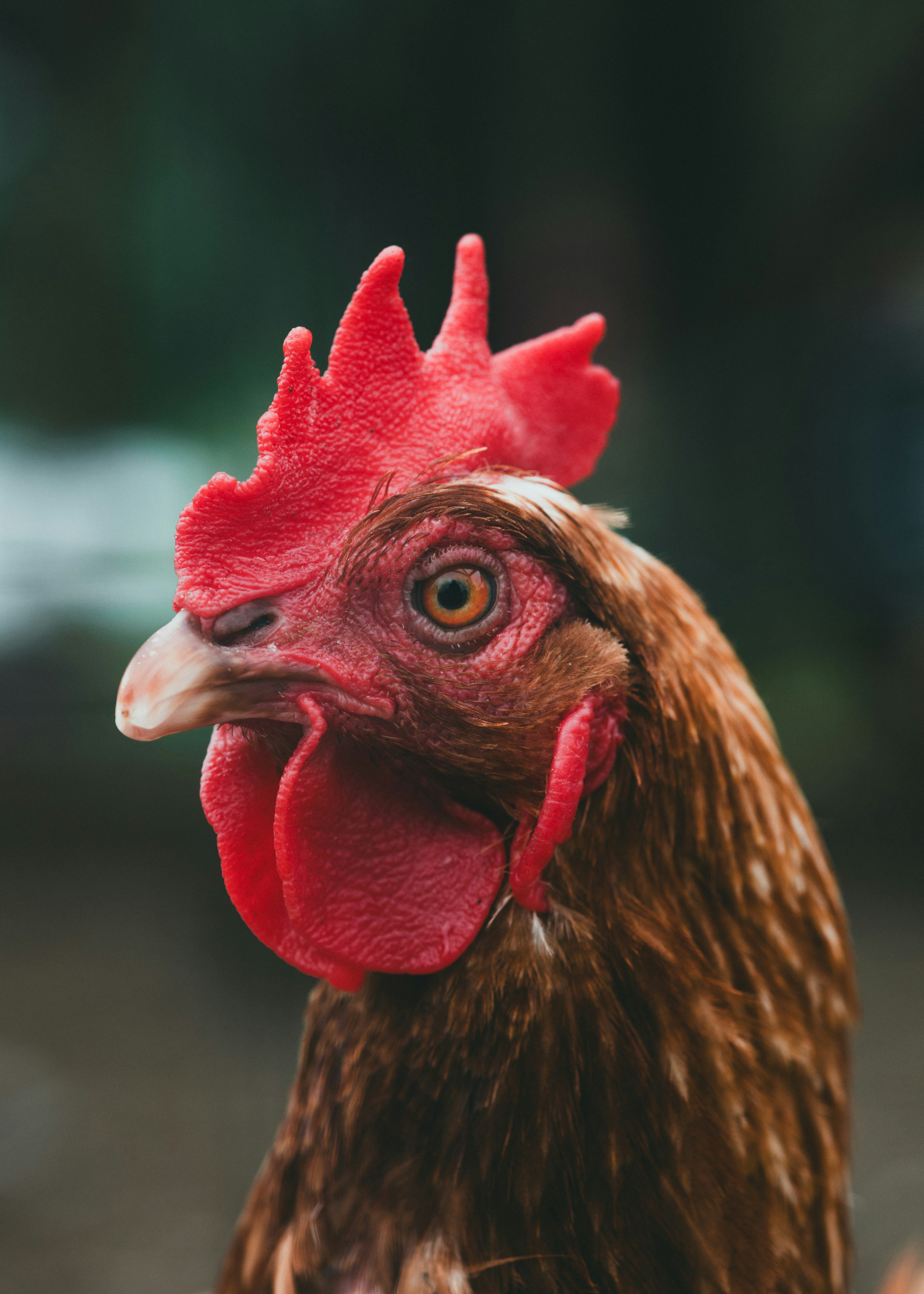 Photo by theshuttervision