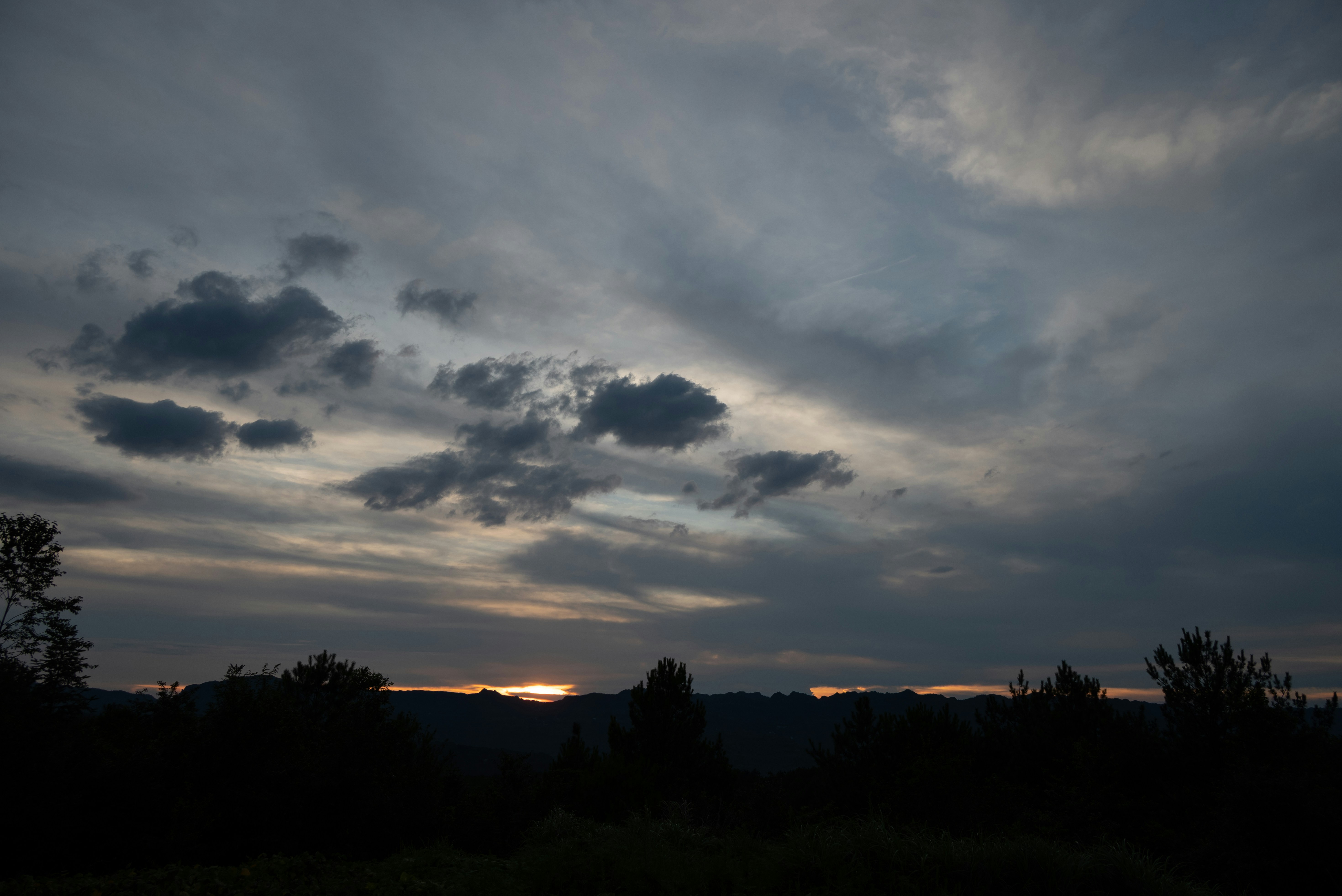 Photo by nikol_royce