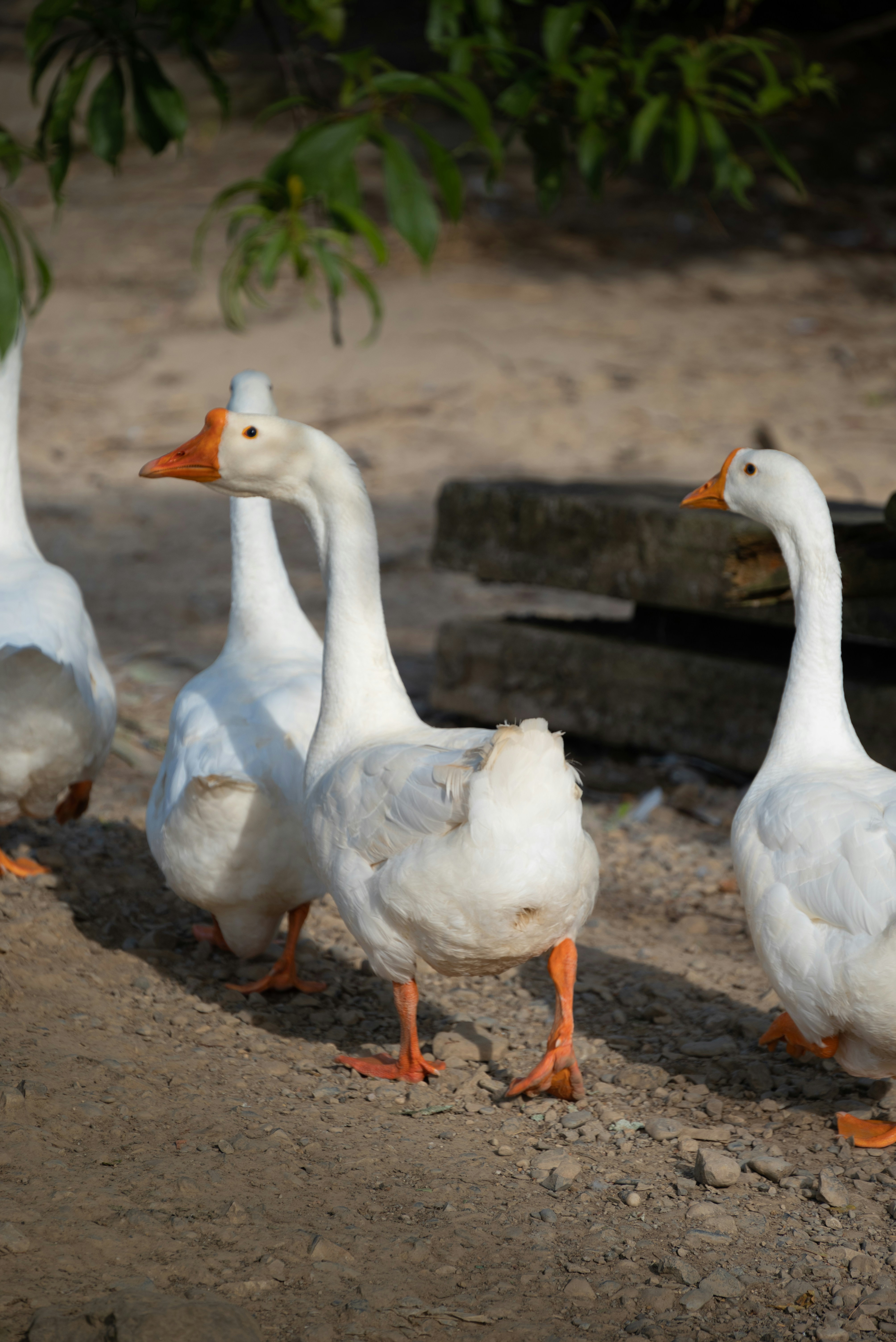 Photo by nikol_royce