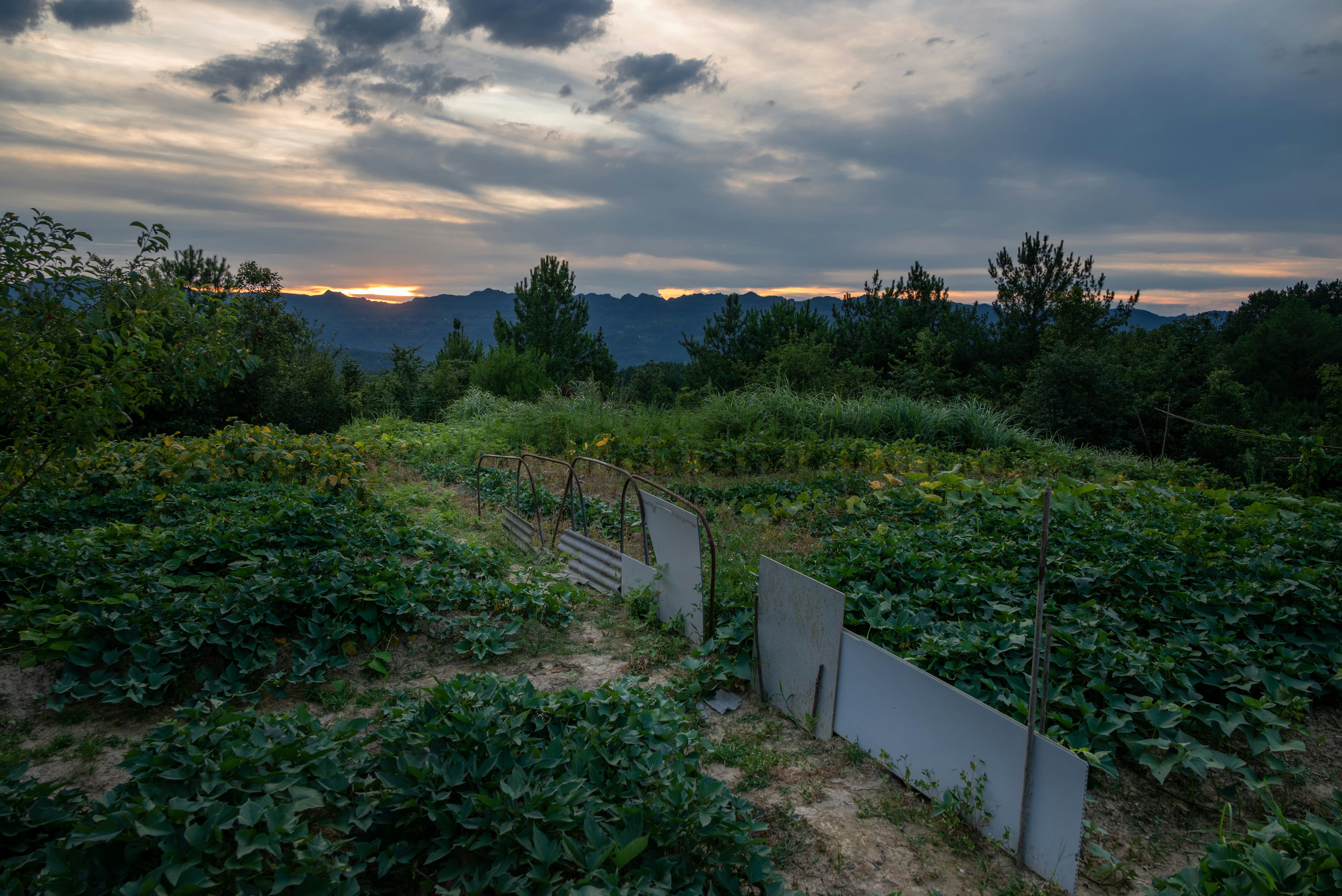 Photo by nikol_royce