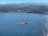 A person is para sailing on the water