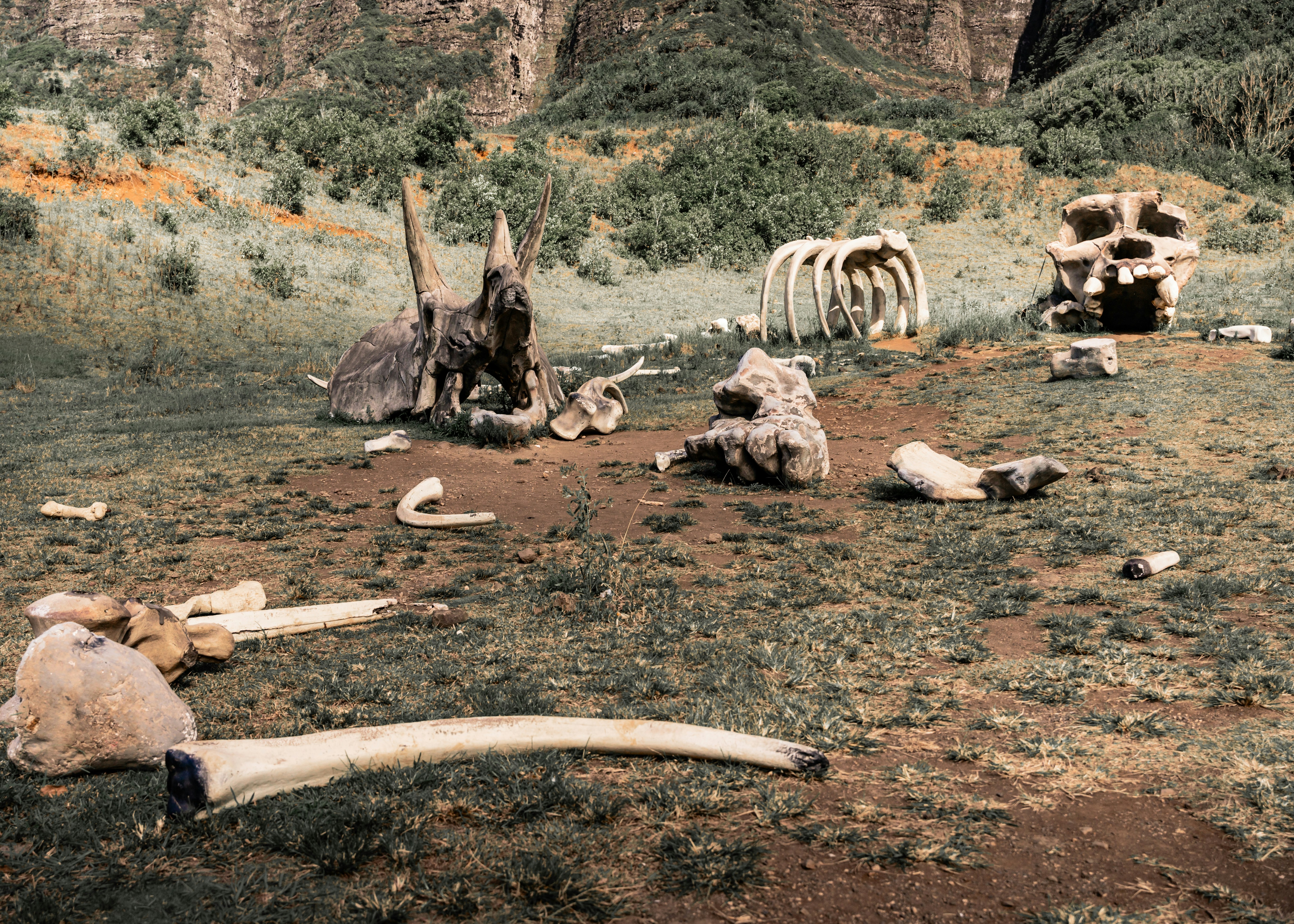 Archaeological Treasures Buried in Time (image credits: unsplash)