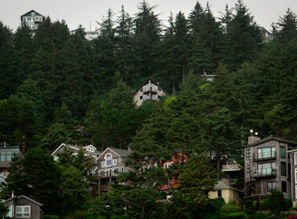 A group of houses sitting on top of a lush green hillside