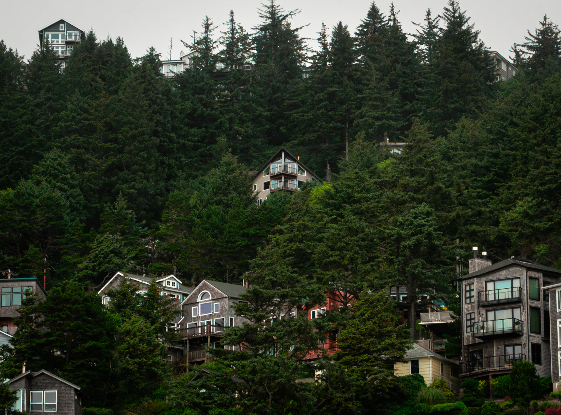 A group of houses sitting on top of a lush green hillside