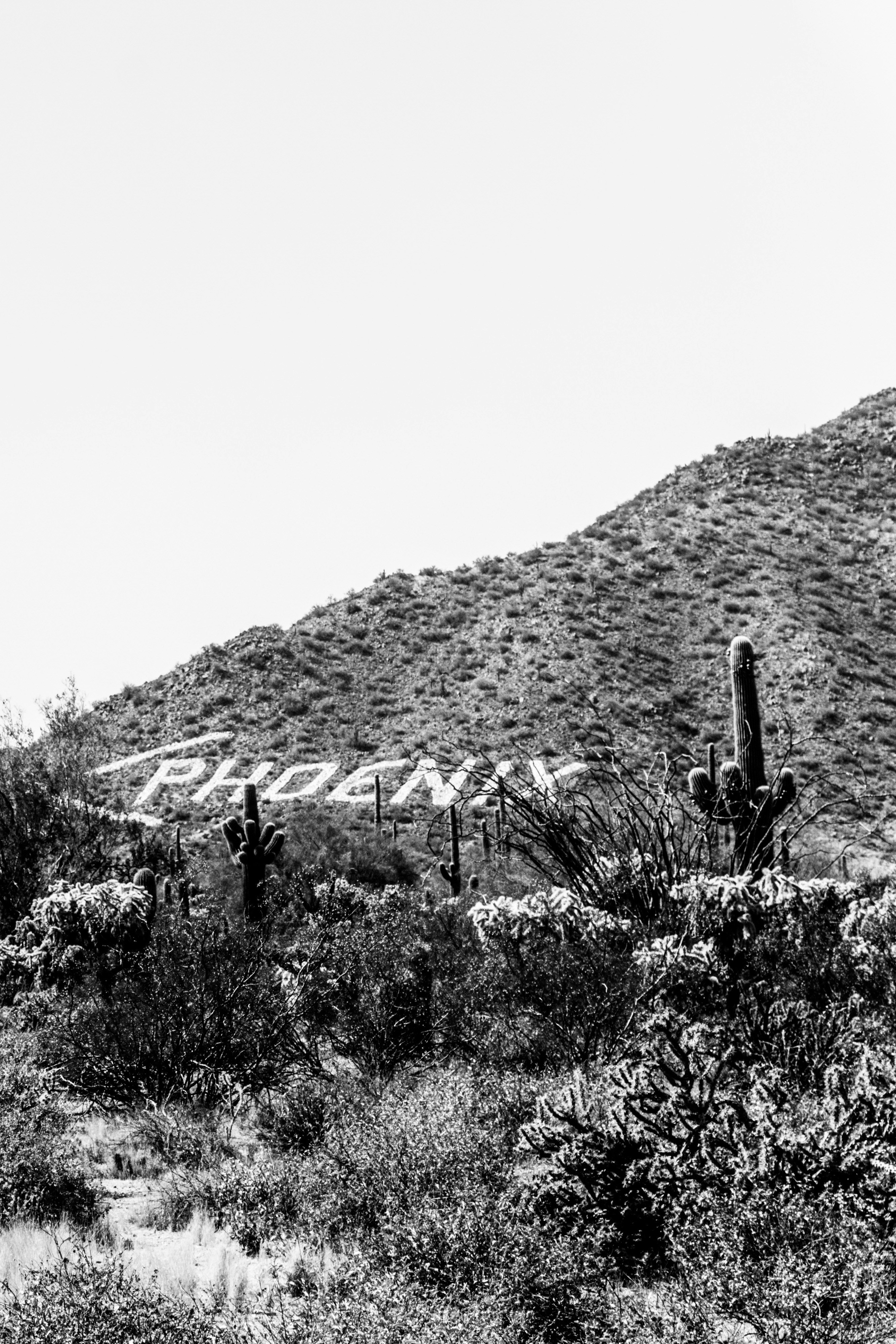 A black and white photo of a desert landscape