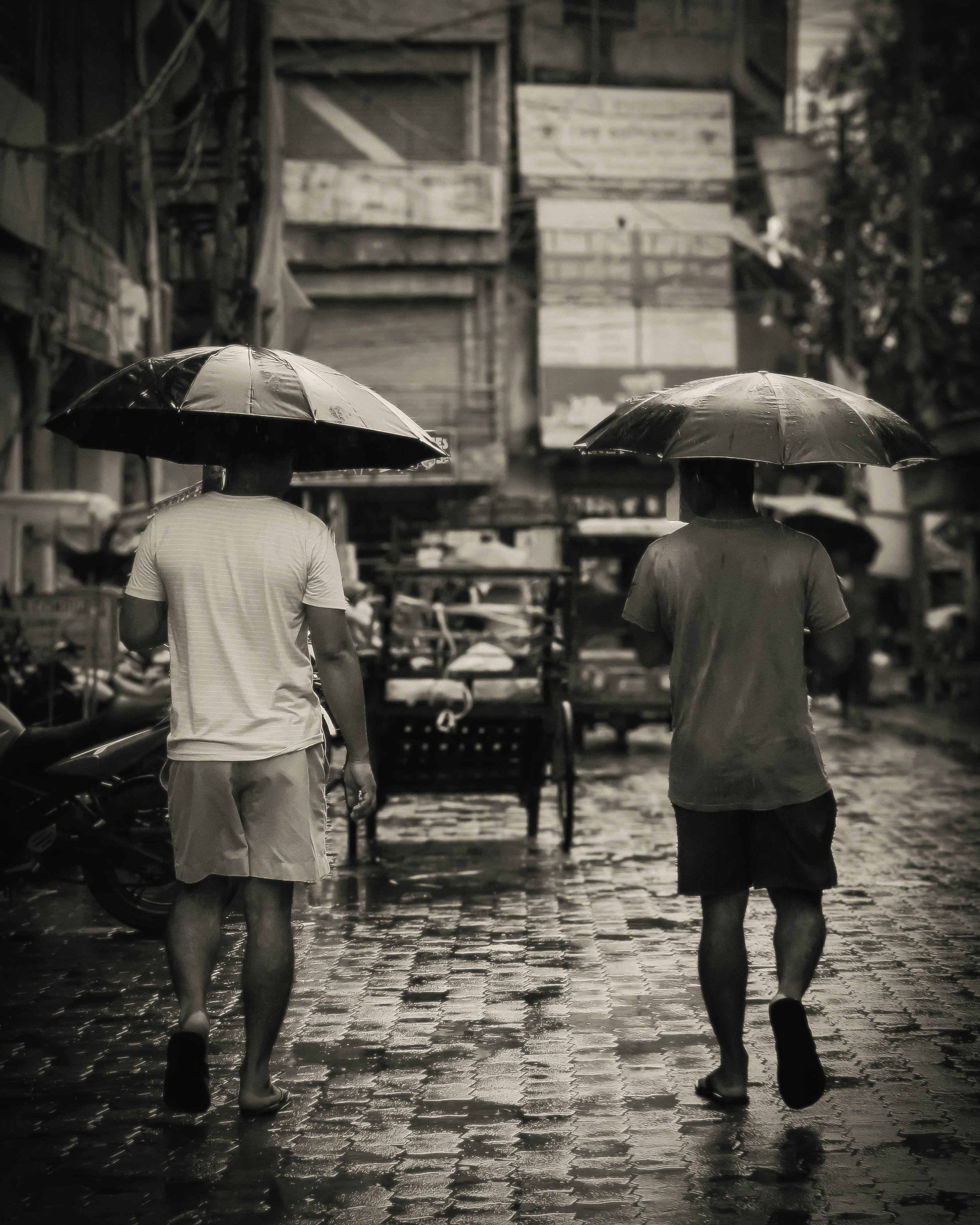 A couple of people walking down a street holding umbrellas