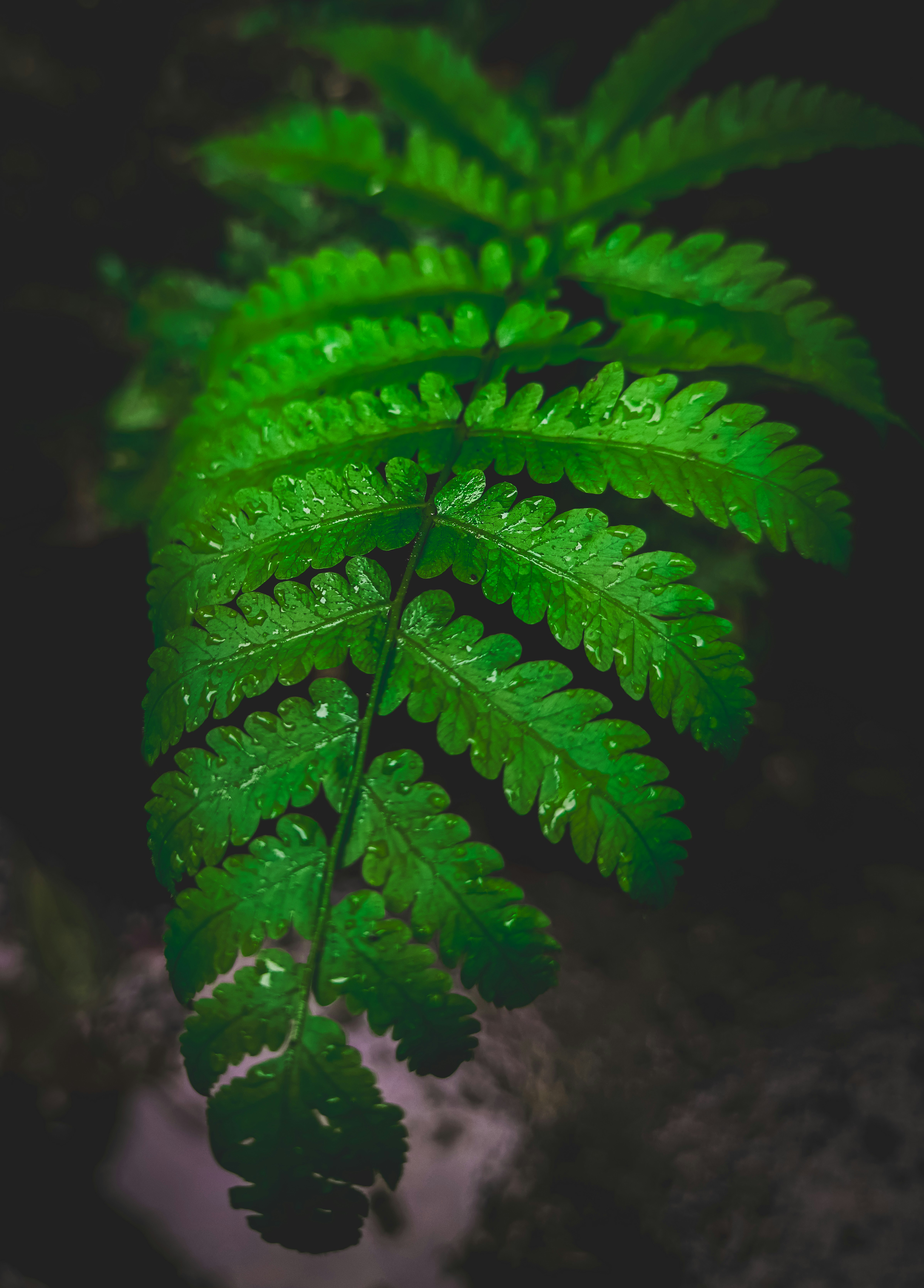 Photo by ahmed_aarif