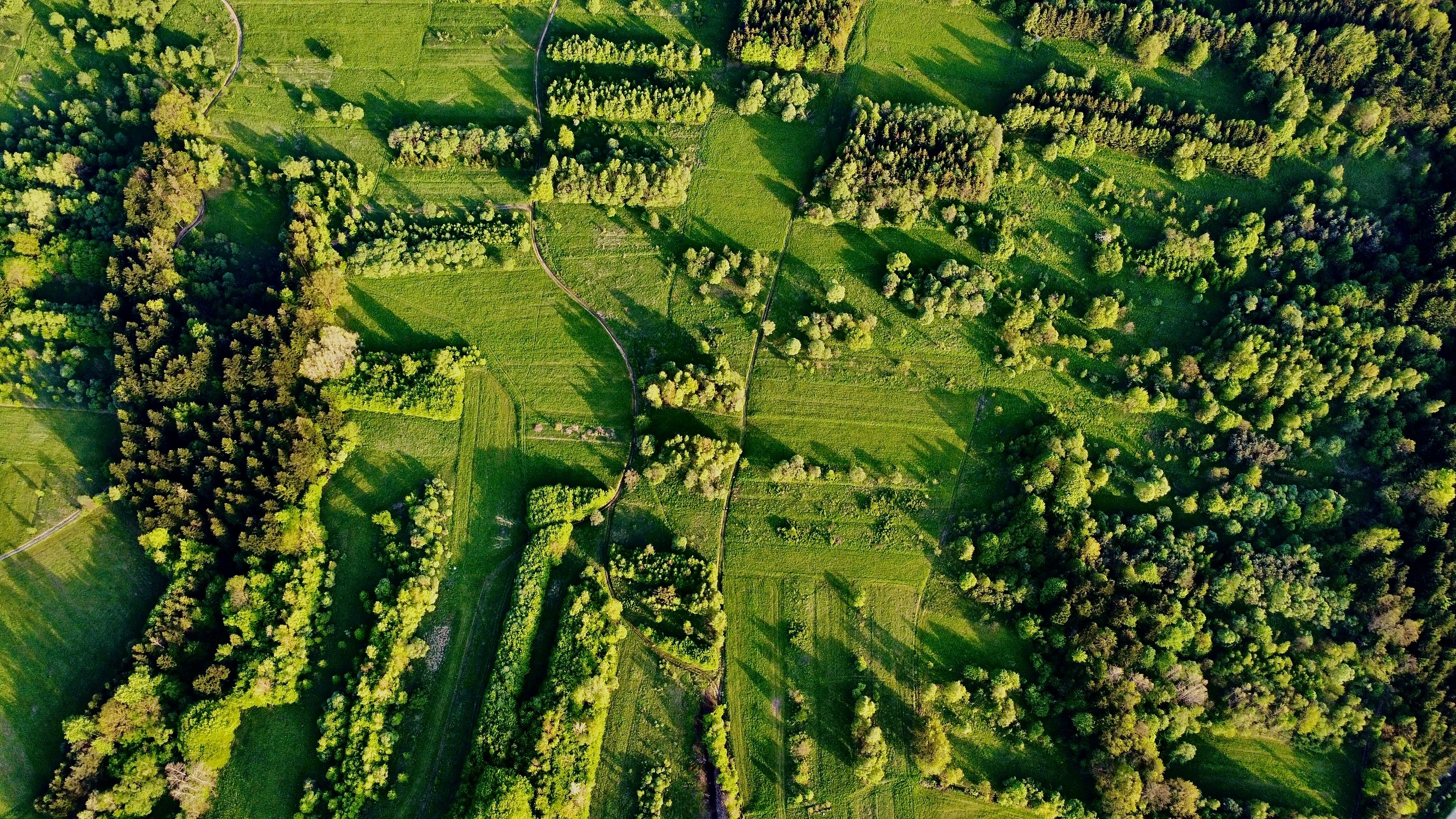 An aerial view of a lush green field