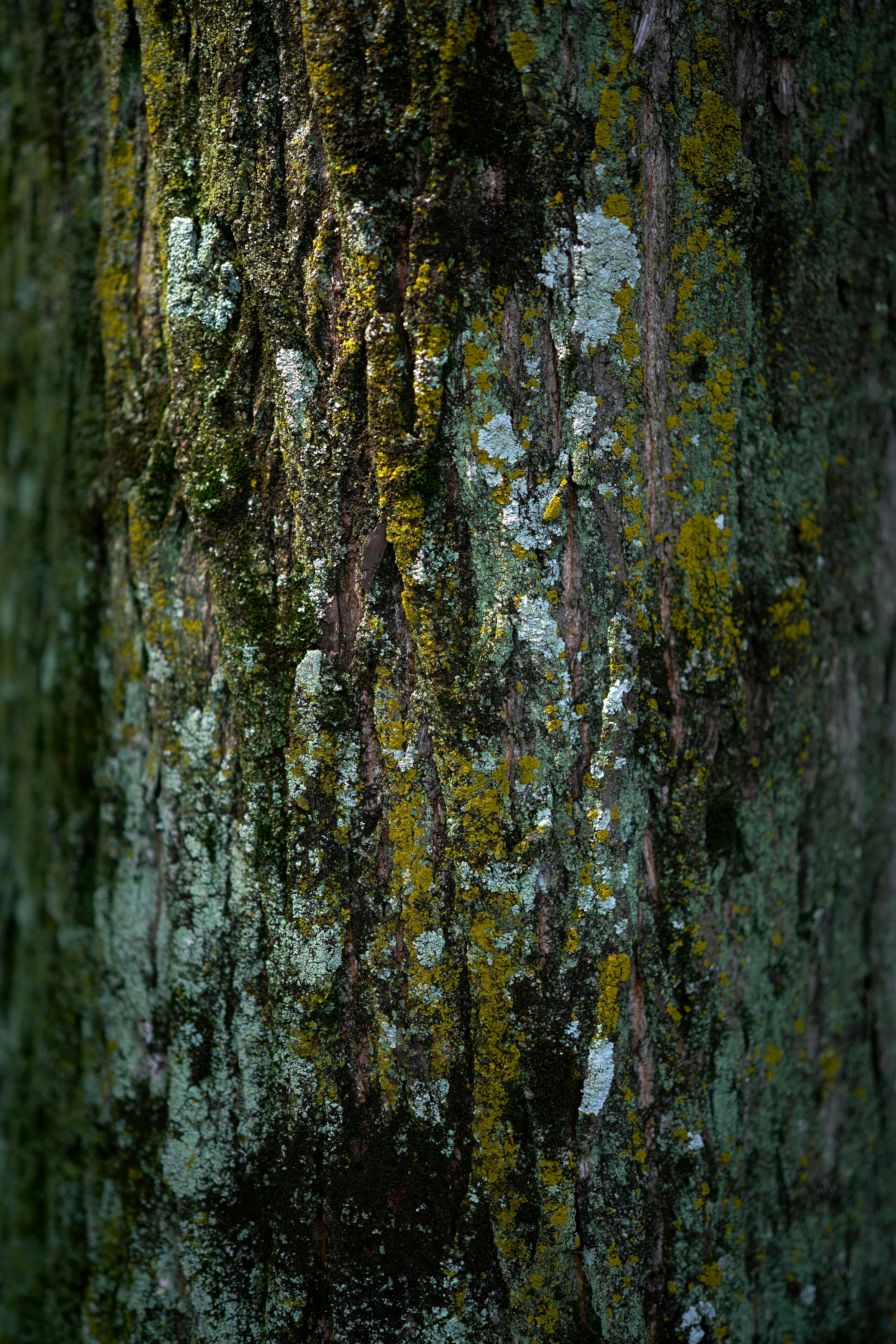 体系架构&技术细节？GPT的一段话