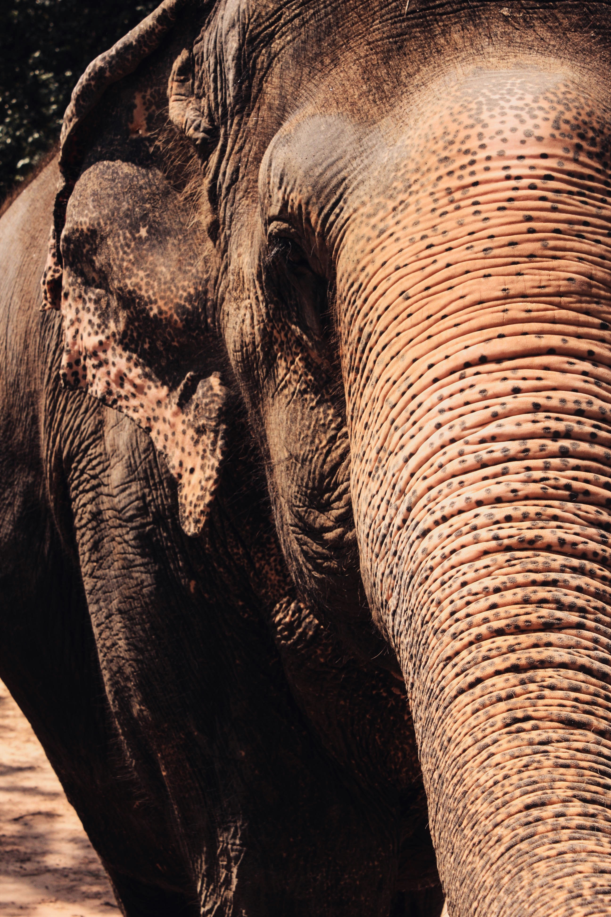 Photo by yanart_black