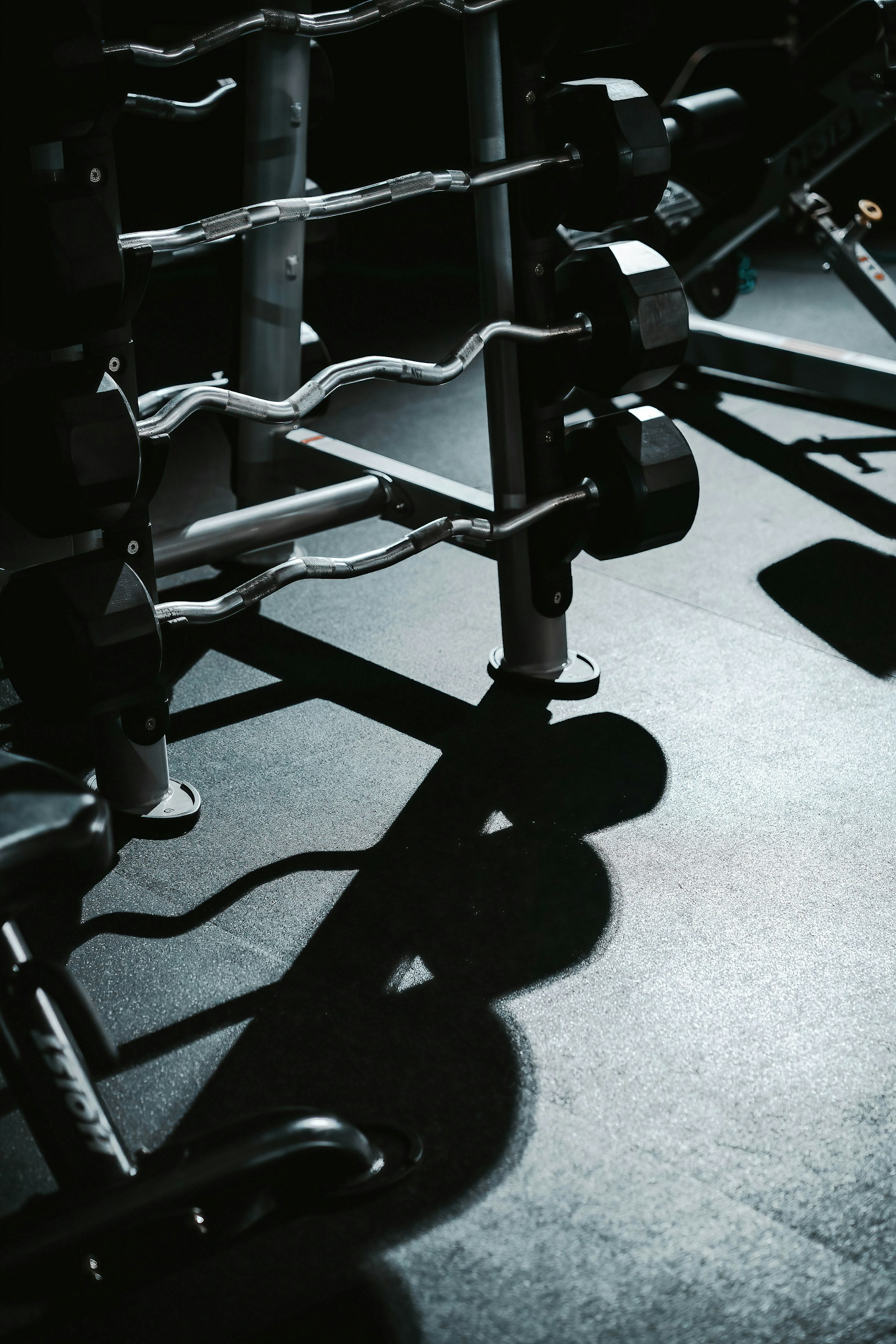 A black and white photo of a row of gym equipment