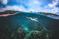 A couple of people are swimming in the ocean