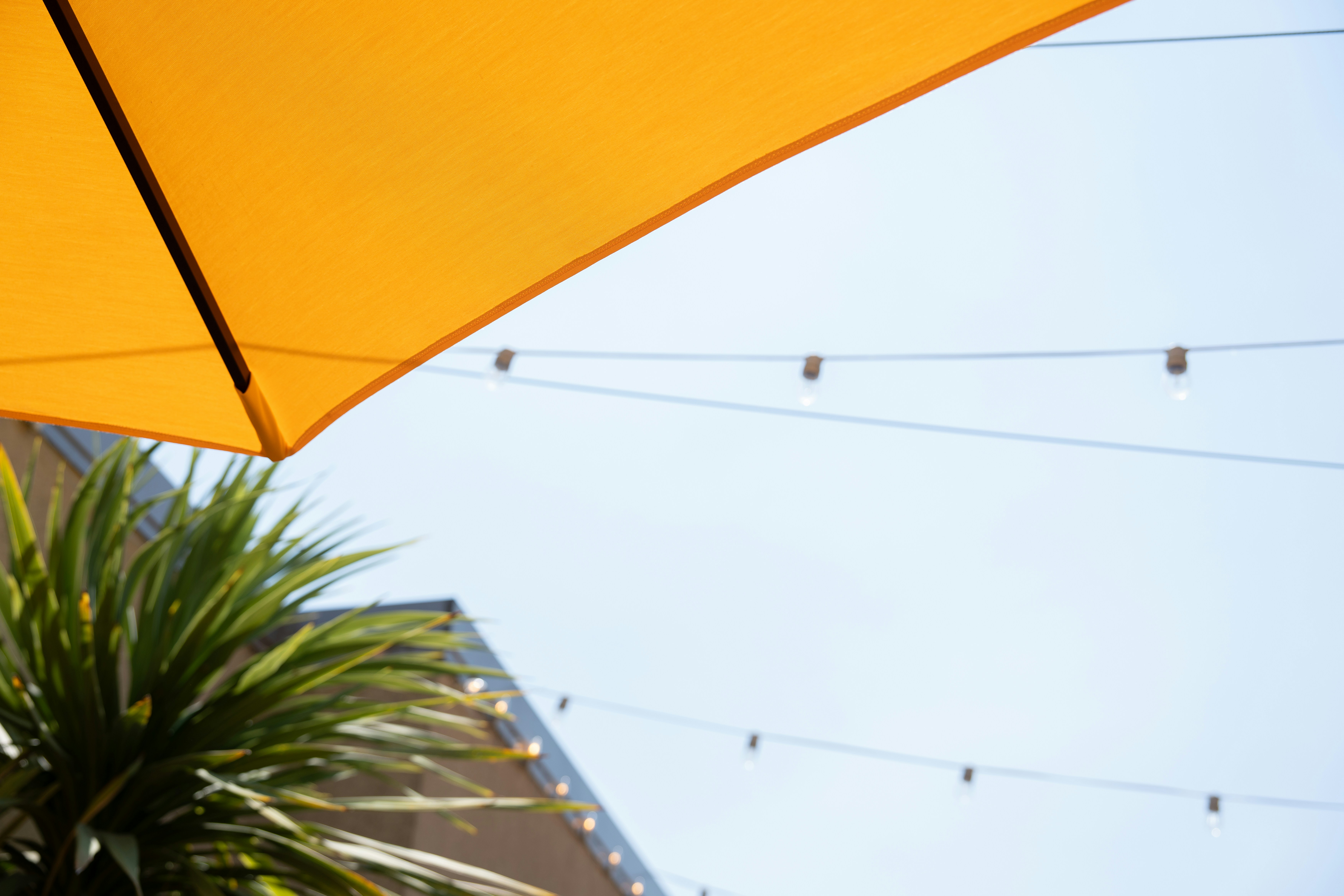 A yellow umbrella sitting next to a palm tree