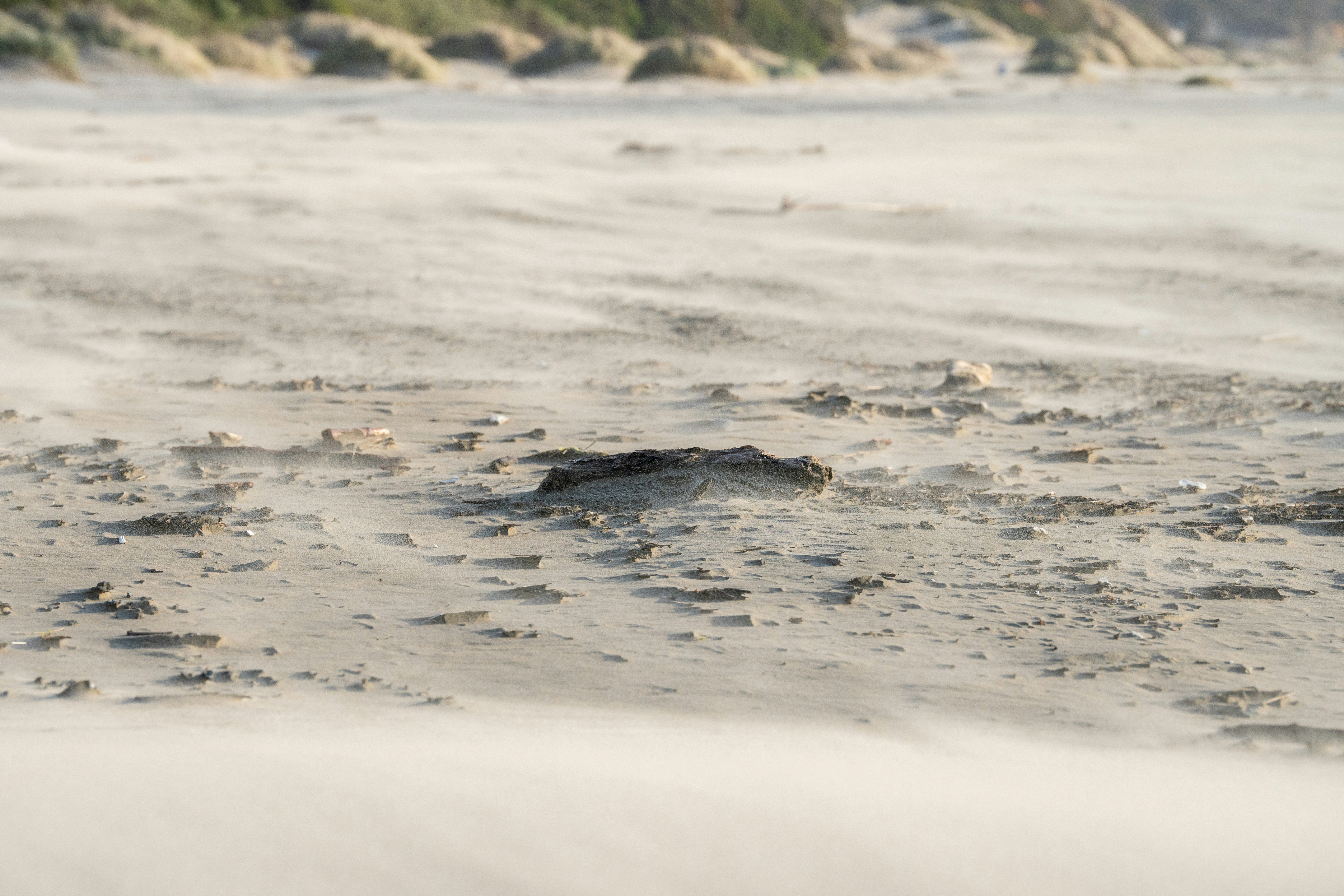 A blurry photo of a beach with sand and water