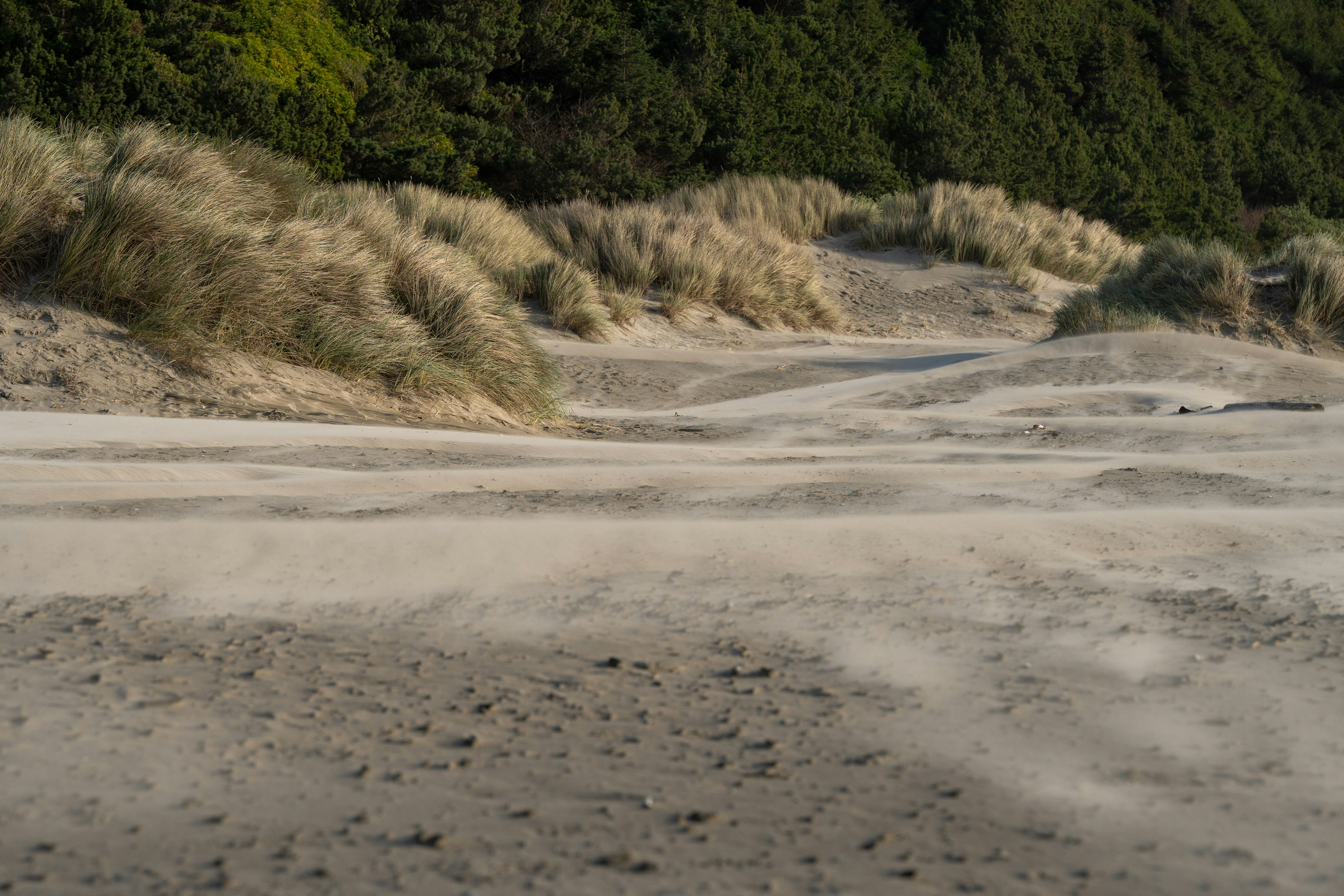 A person riding a bike down a dirt road