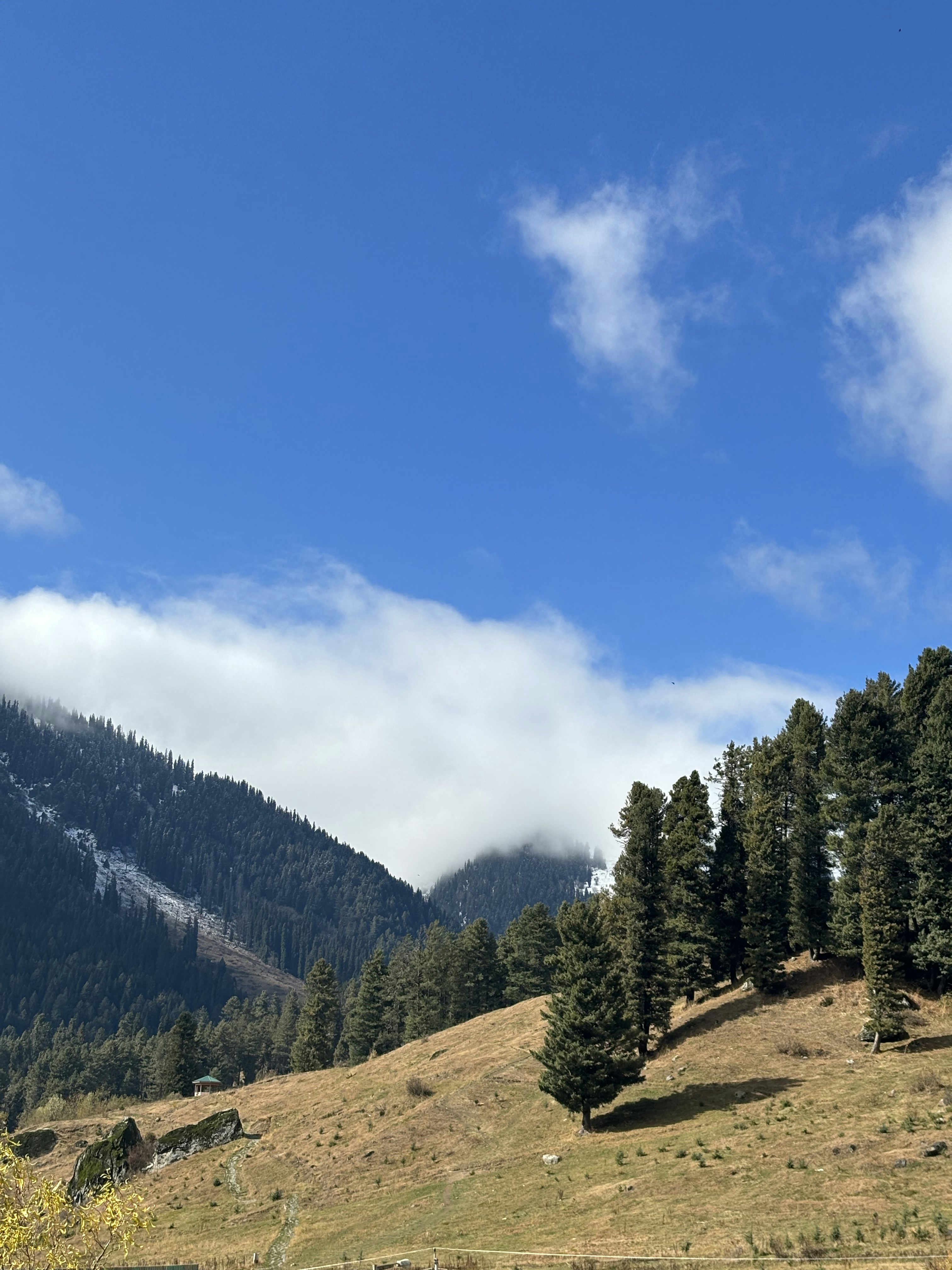 Photo by viveknirakaar