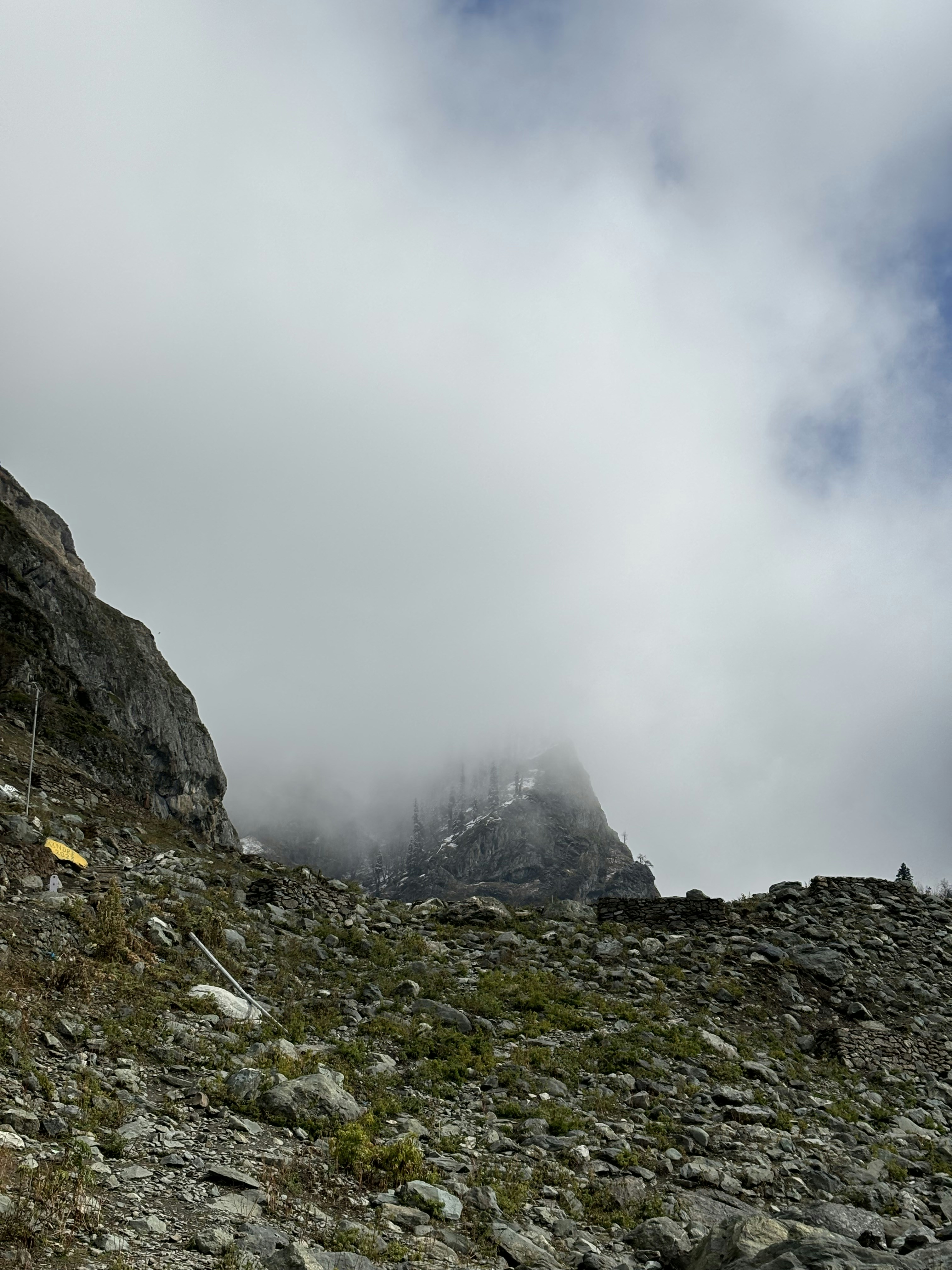 Photo by viveknirakaar