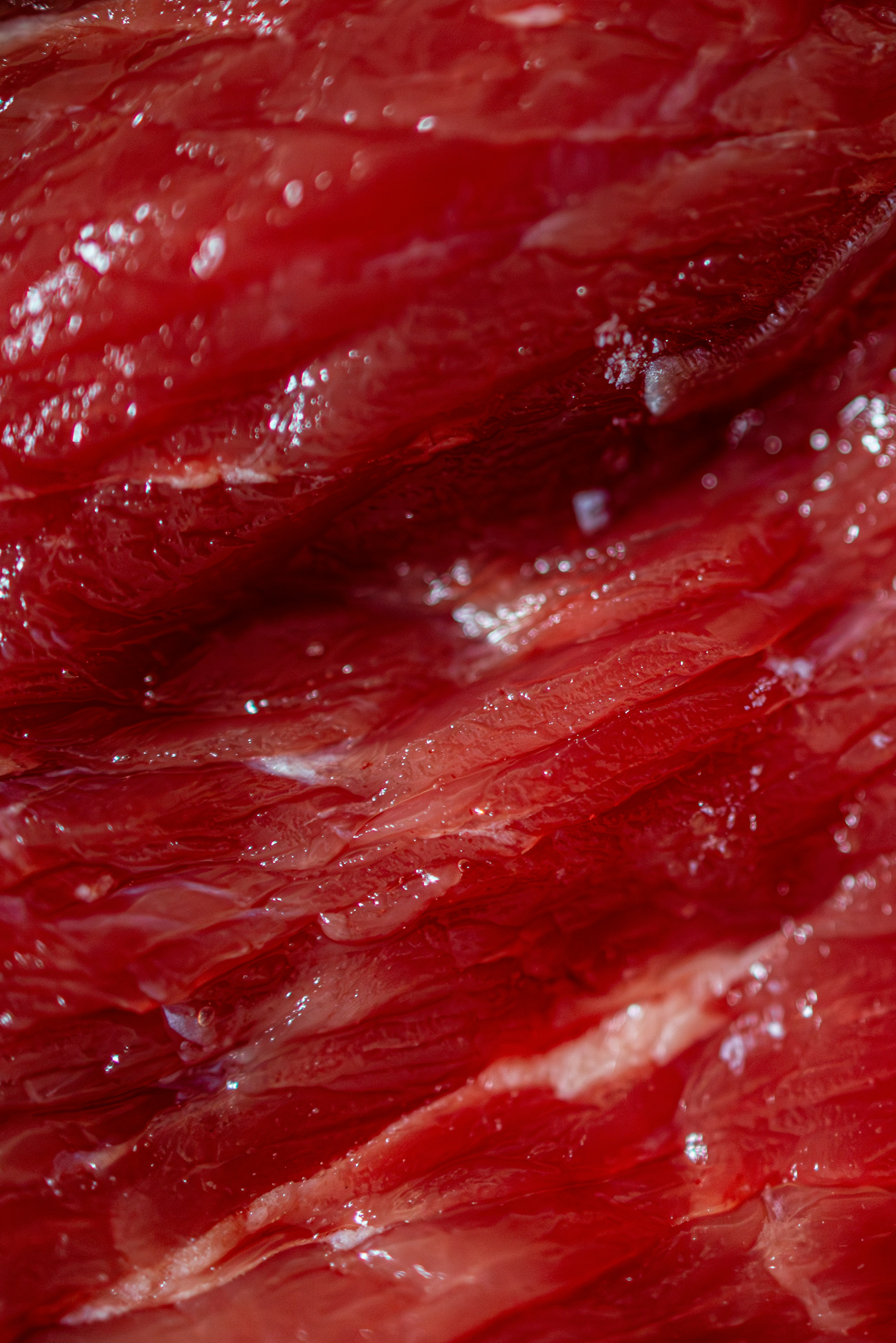 processed meat wallpaper, wallpaper, Daging Olahan: Risiko Kesehatan dan Tips Konsumsi Aman 1