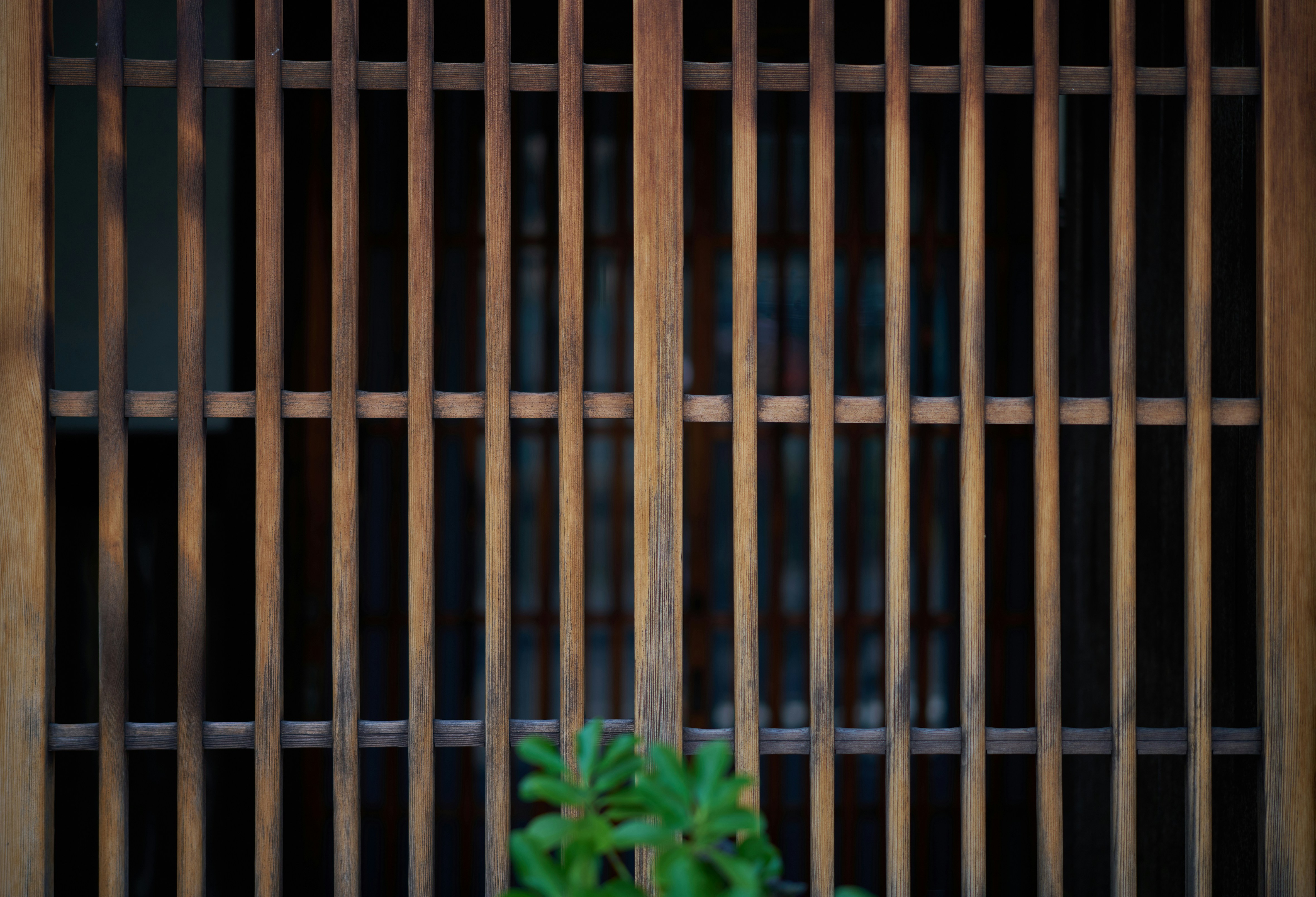Photo by stbuddyp