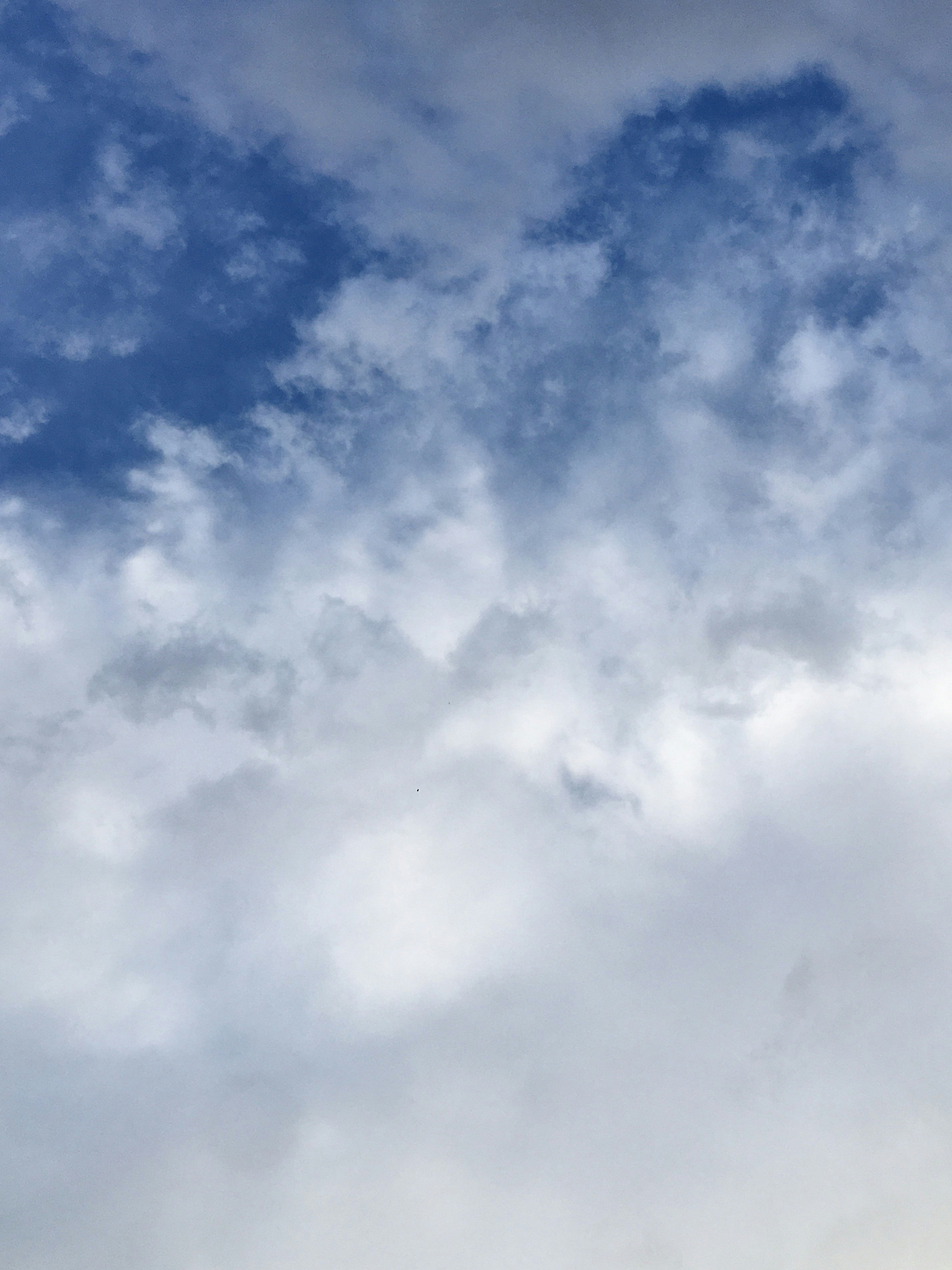 Photo by _alisinaqasemi