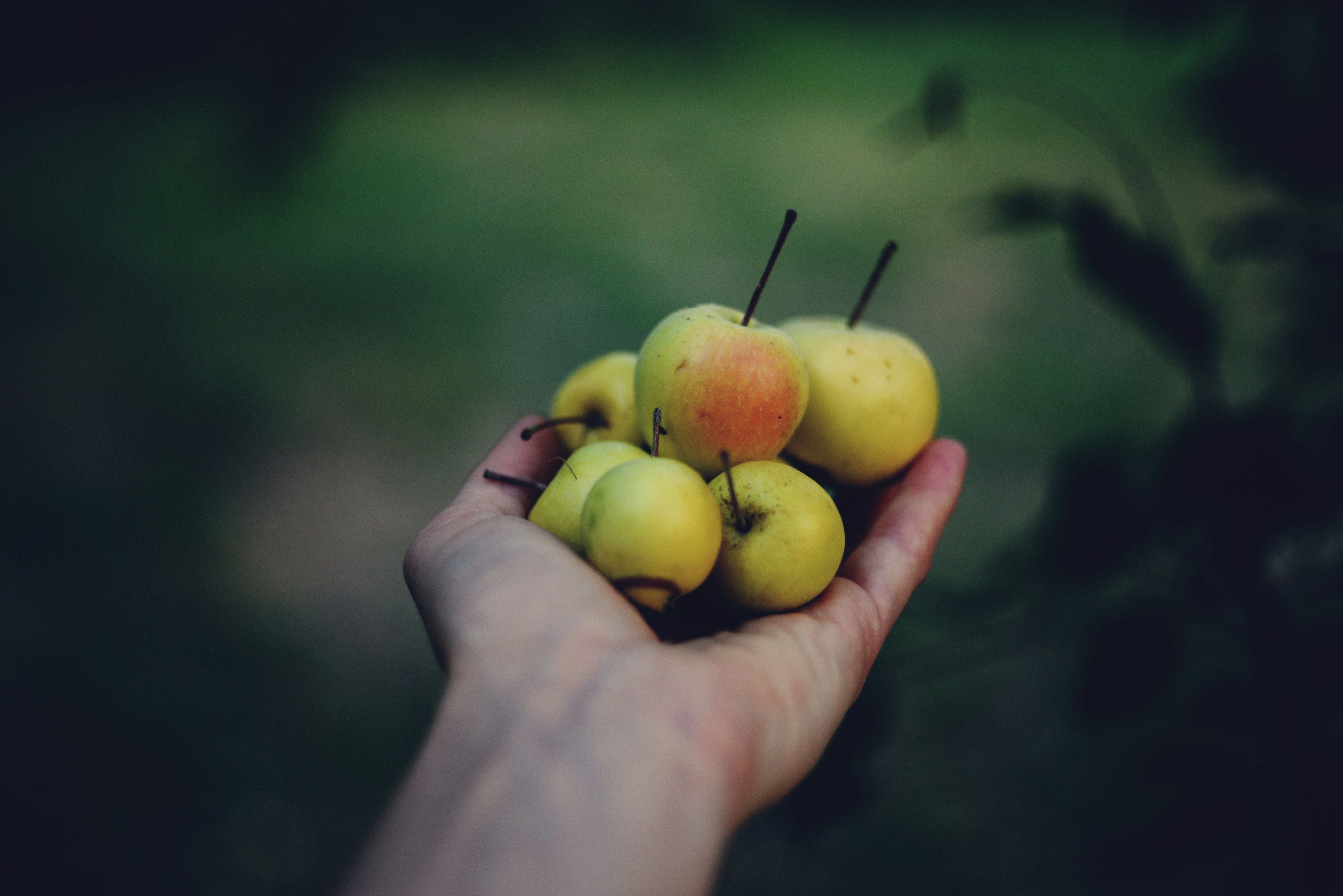 Photo by cherstve_pechivo