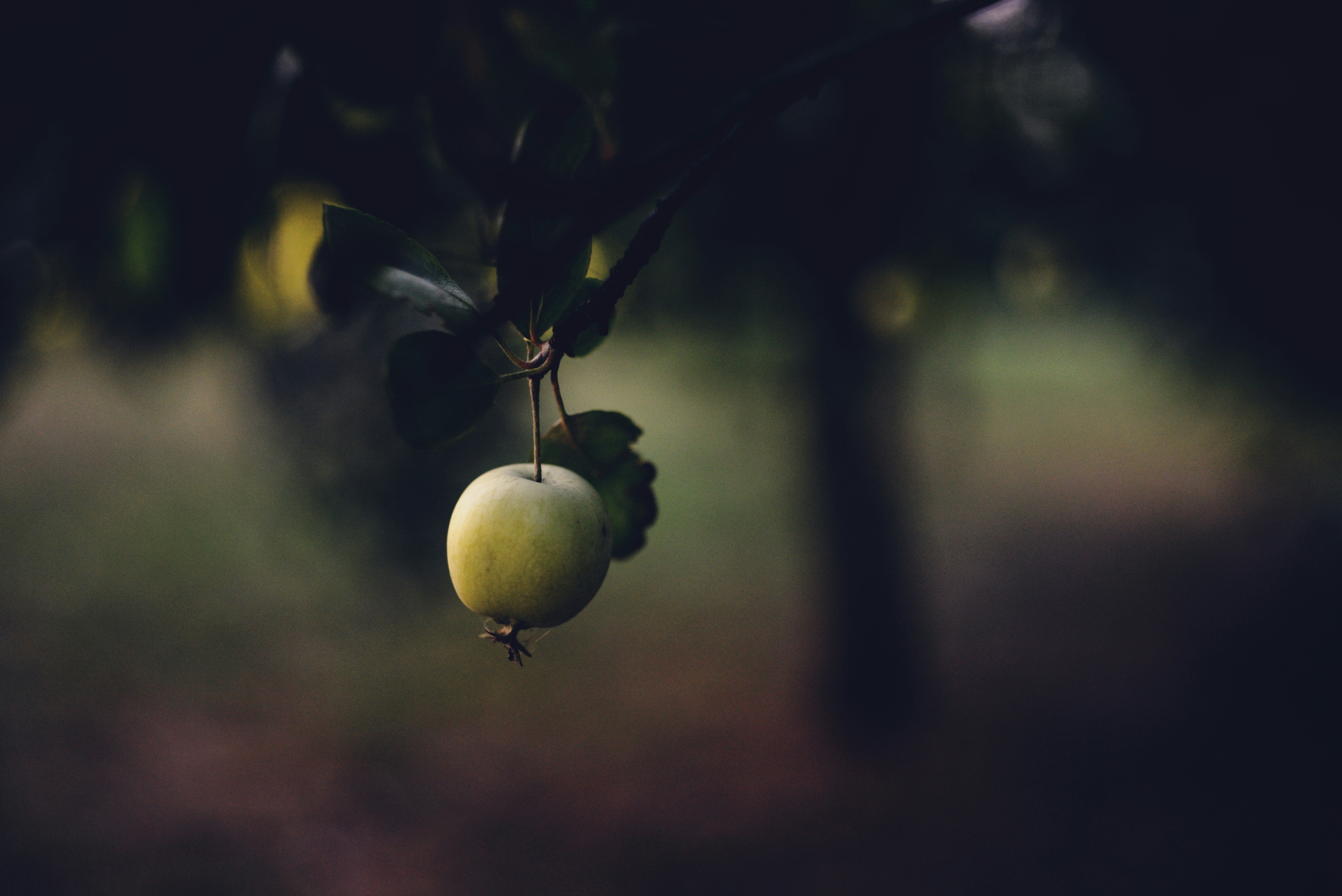 Photo by cherstve_pechivo