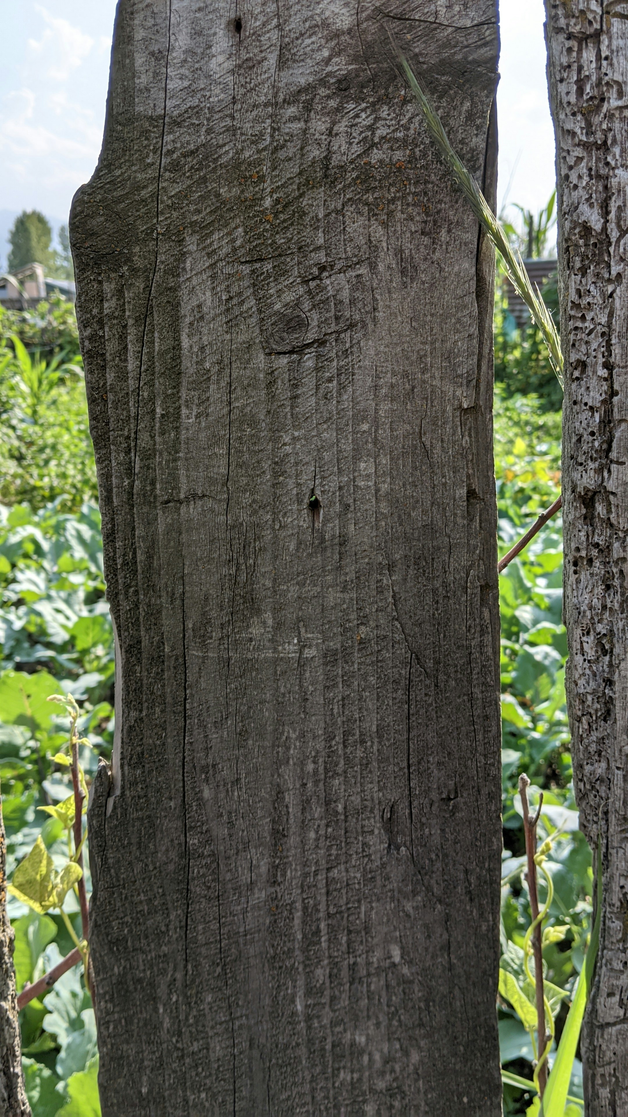 Photo by kazimbhai_photography