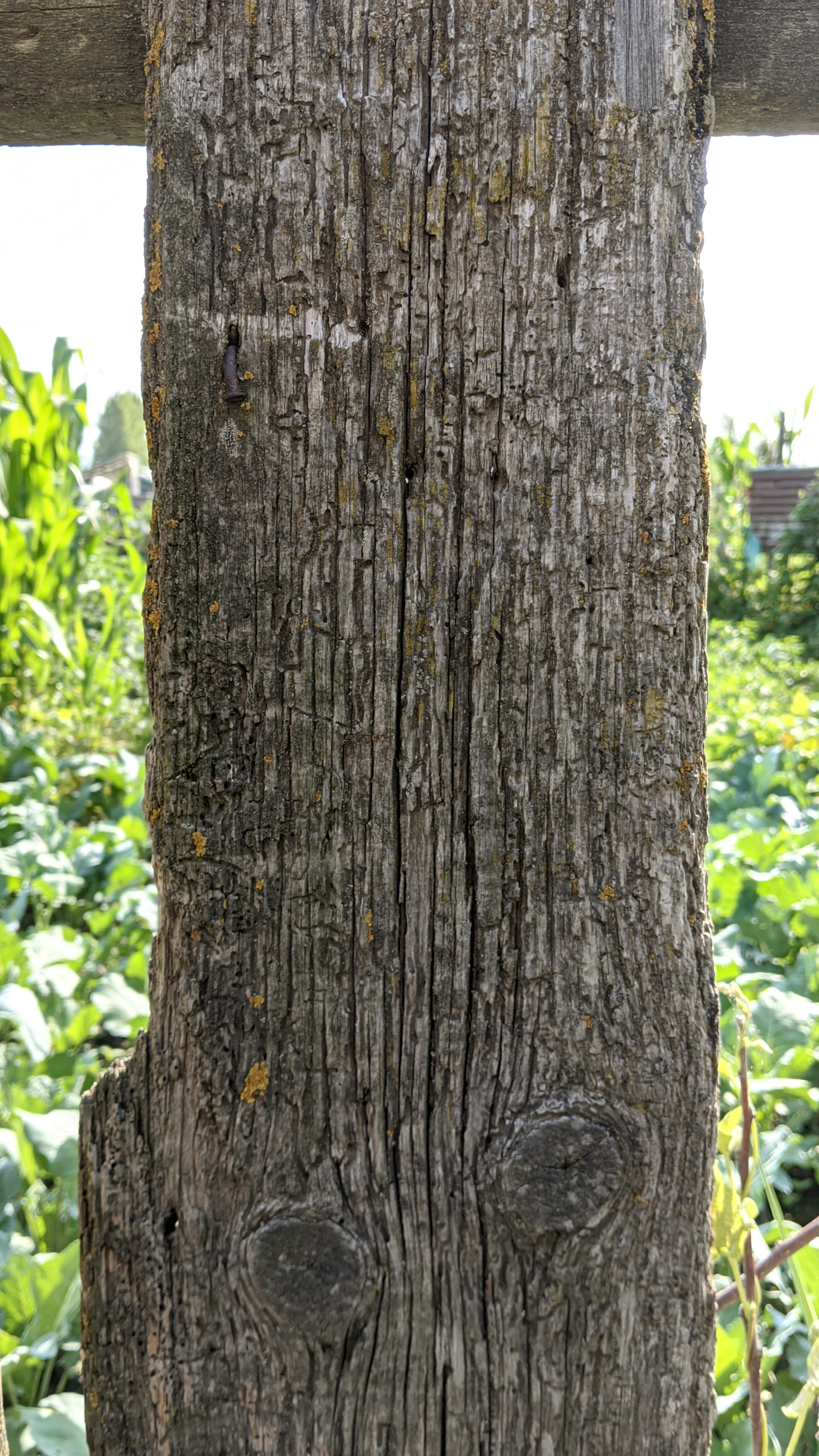 Photo by kazimbhai_photography