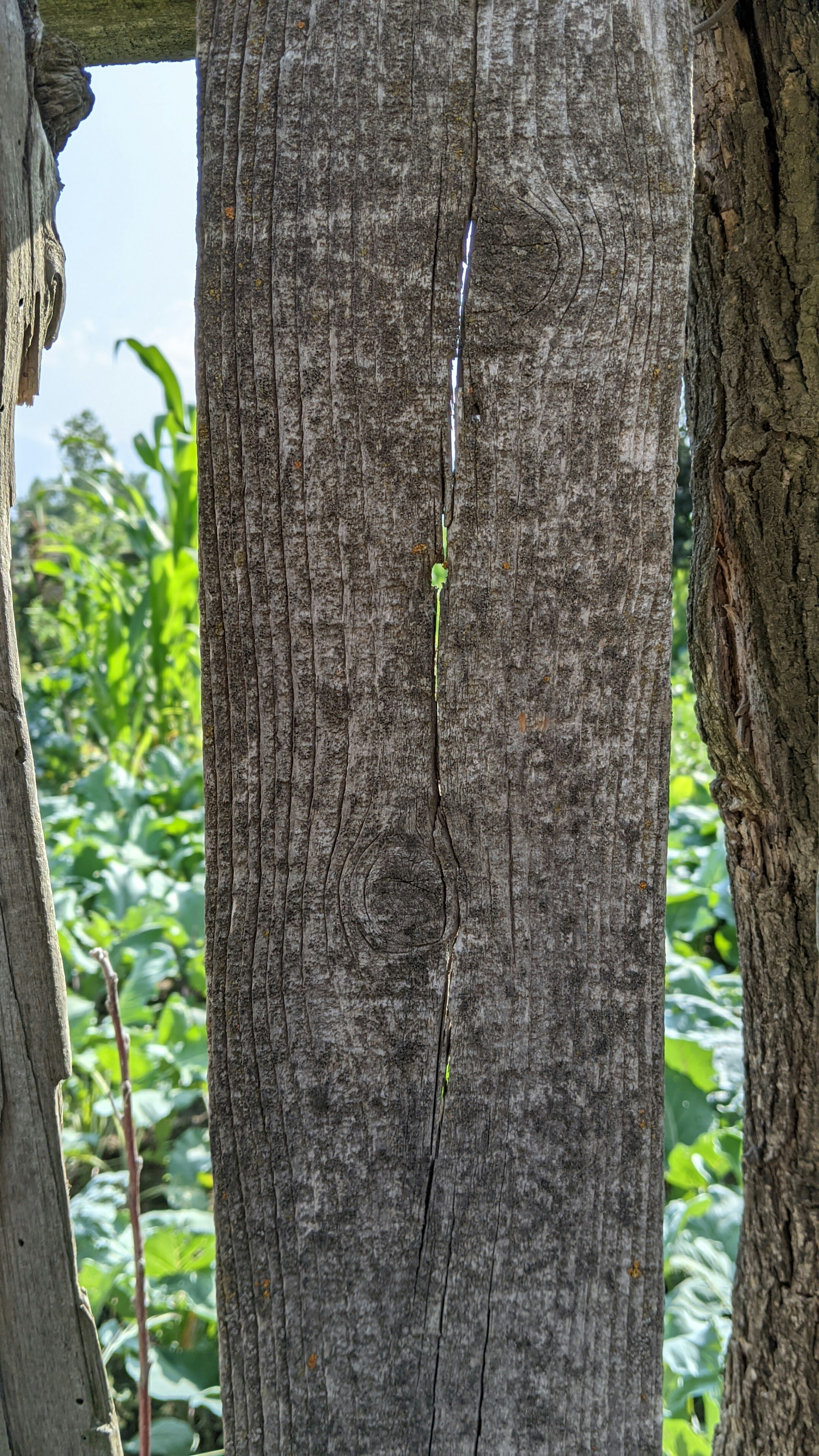 Photo by kazimbhai_photography